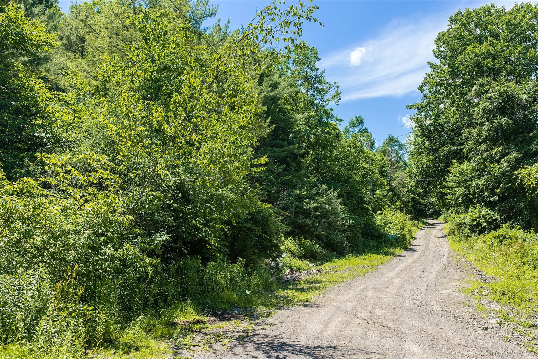 141 Hulbert Hill Road, Out Of Area, NY, 3 Bedrooms Bedrooms, 7 Rooms Rooms,1 BathroomBathrooms,Residential,For Rent,Hulbert Hill,0,1024523 141 Hulbert Hill Road, Out Of Area, NY, 3 Bedrooms Bedrooms, 7 Rooms Rooms,1 BathroomBathrooms,Residential,For Rent,Hulbert Hill,0,1024523