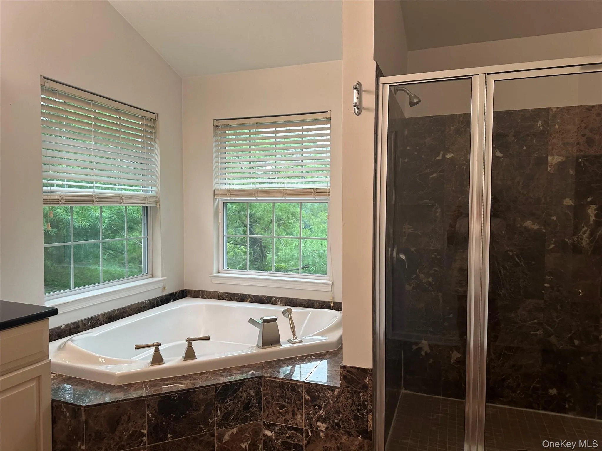 Primary Bath/Jacuzzi tub Primary Bath/Jacuzzi tub