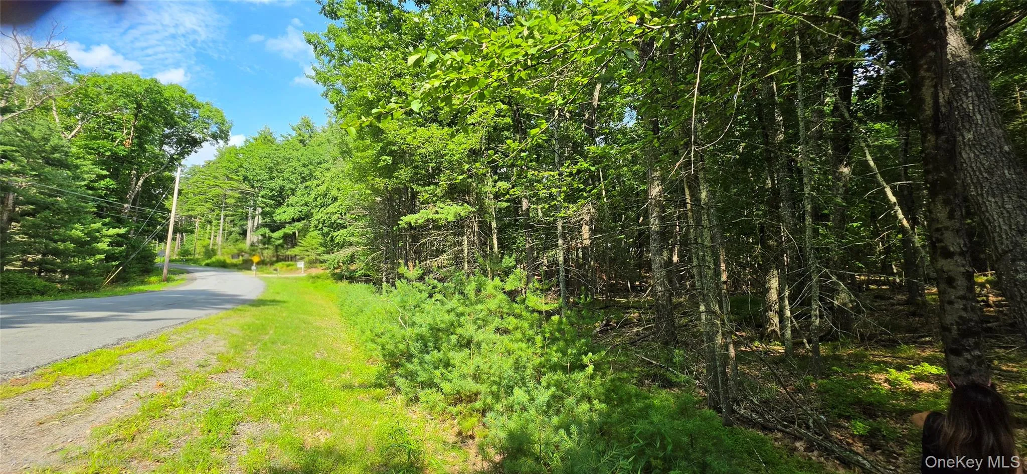 Lot 34.25 Lakeview Drive Road, Highland, NY, ,Land,For Rent,Lakeview Drive,0,1024572 Lot 34.25 Lakeview Drive Road, Highland, NY, ,Land,For Rent,Lakeview Drive,0,1024572