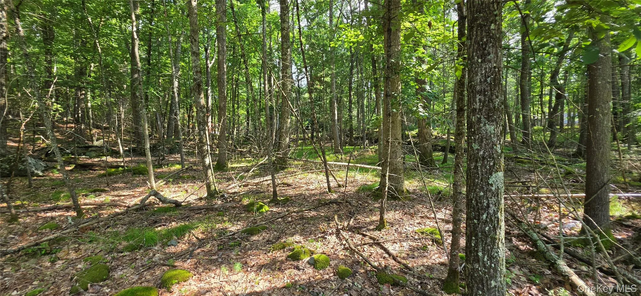Lot 34.25 Lakeview Drive Road, Highland, NY, ,Land,For Rent,Lakeview Drive,0,1024572 Lot 34.25 Lakeview Drive Road, Highland, NY, ,Land,For Rent,Lakeview Drive,0,1024572