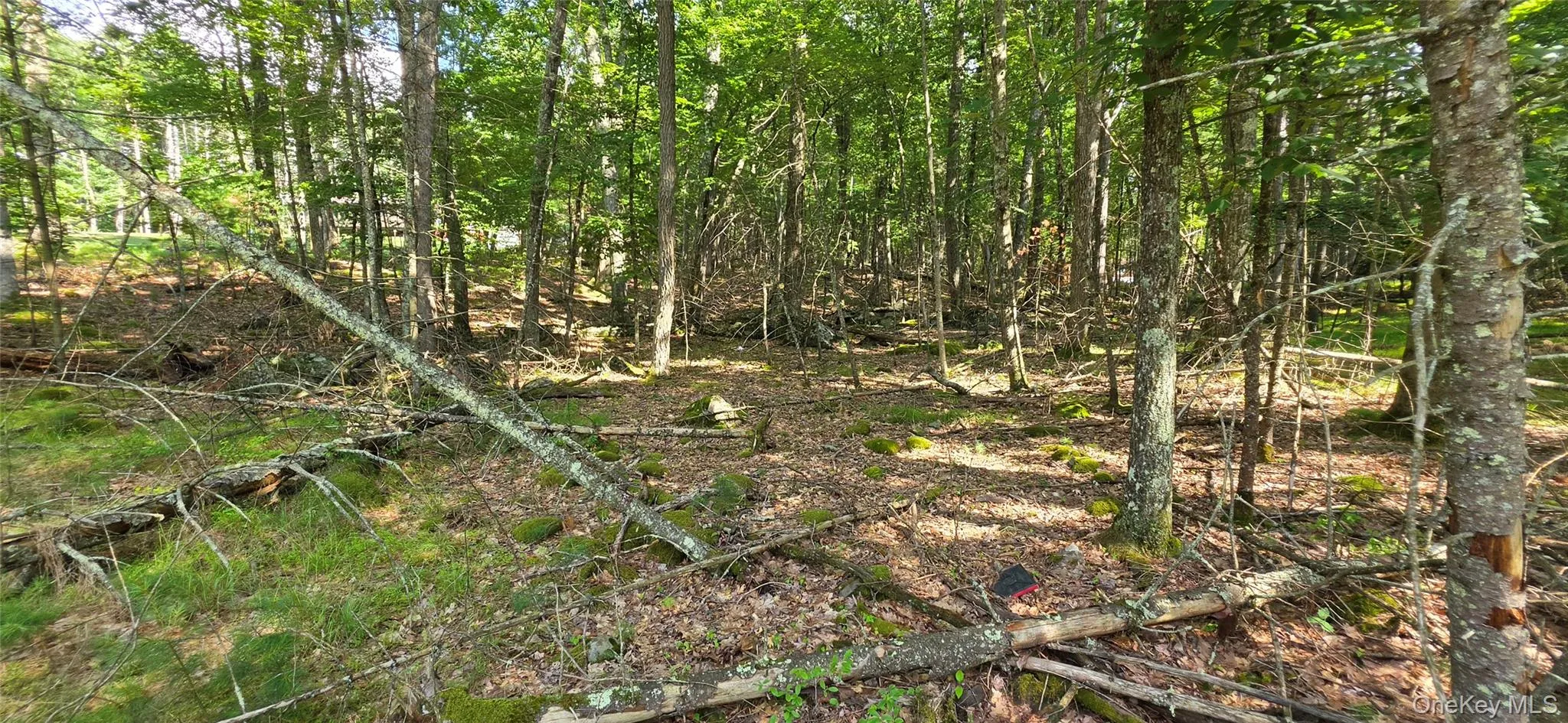 Lot 34.25 Lakeview Drive Road, Highland, NY, ,Land,For Rent,Lakeview Drive,0,1024572 Lot 34.25 Lakeview Drive Road, Highland, NY, ,Land,For Rent,Lakeview Drive,0,1024572