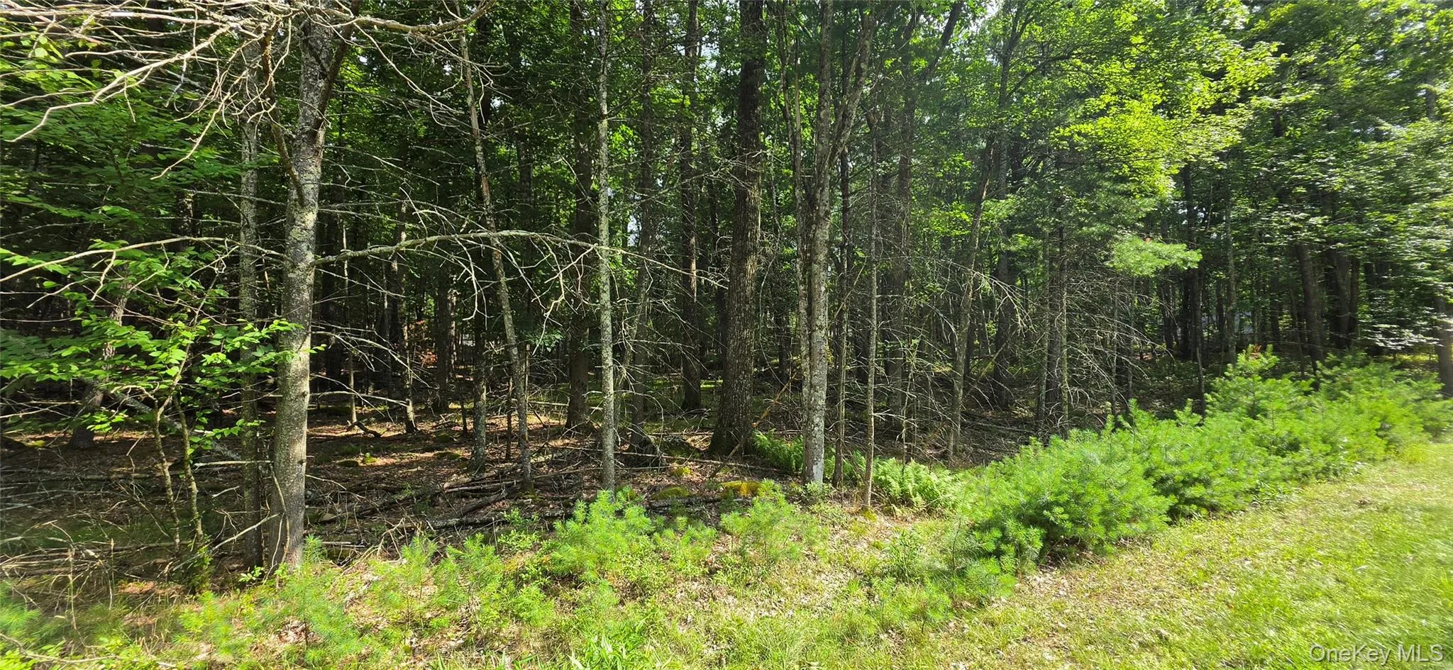Lot 34.25 Lakeview Drive Road, Highland, NY, ,Land,For Rent,Lakeview Drive,0,1024572 Lot 34.25 Lakeview Drive Road, Highland, NY, ,Land,For Rent,Lakeview Drive,0,1024572