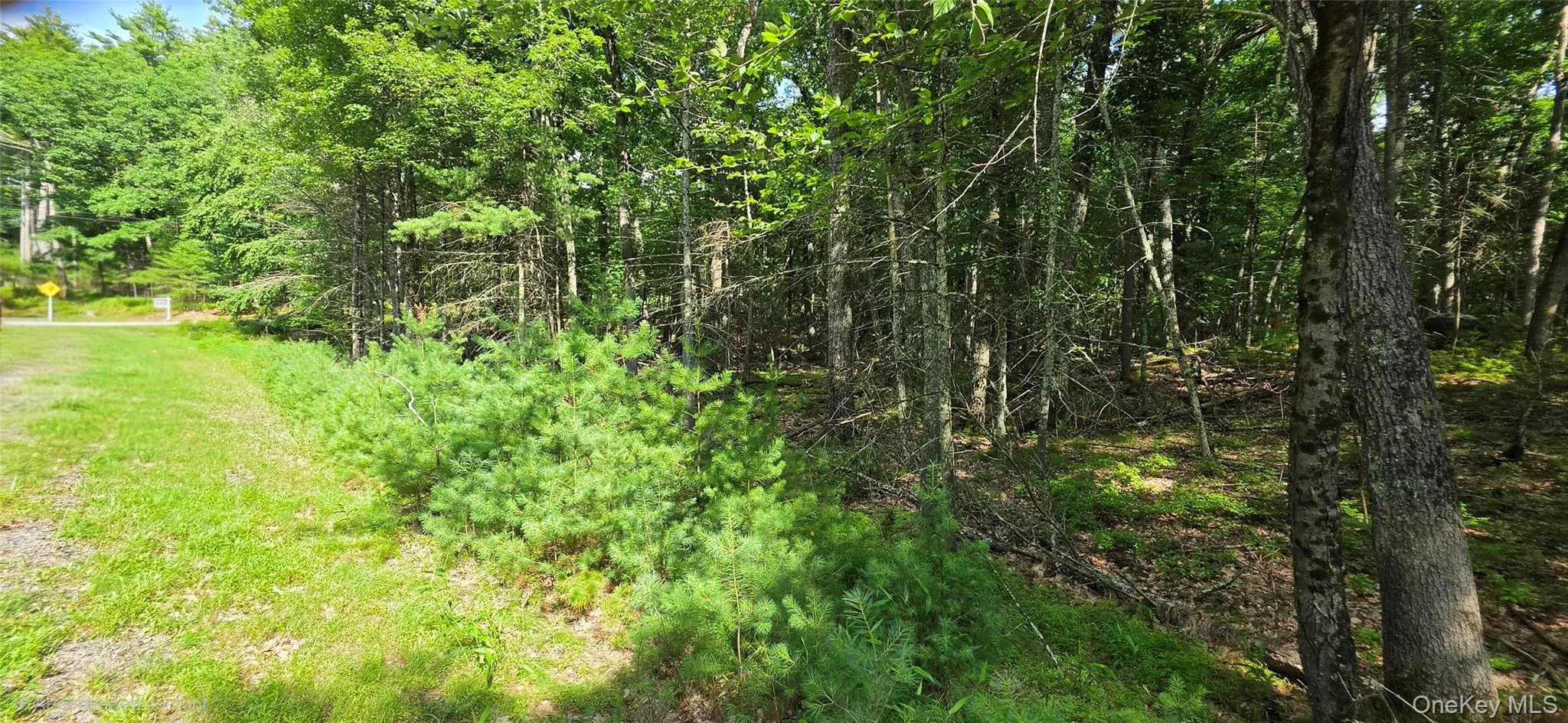 Lot 34.25 Lakeview Drive Road, Highland, NY, ,Land,For Rent,Lakeview Drive,0,1024572 Lot 34.25 Lakeview Drive Road, Highland, NY, ,Land,For Rent,Lakeview Drive,0,1024572