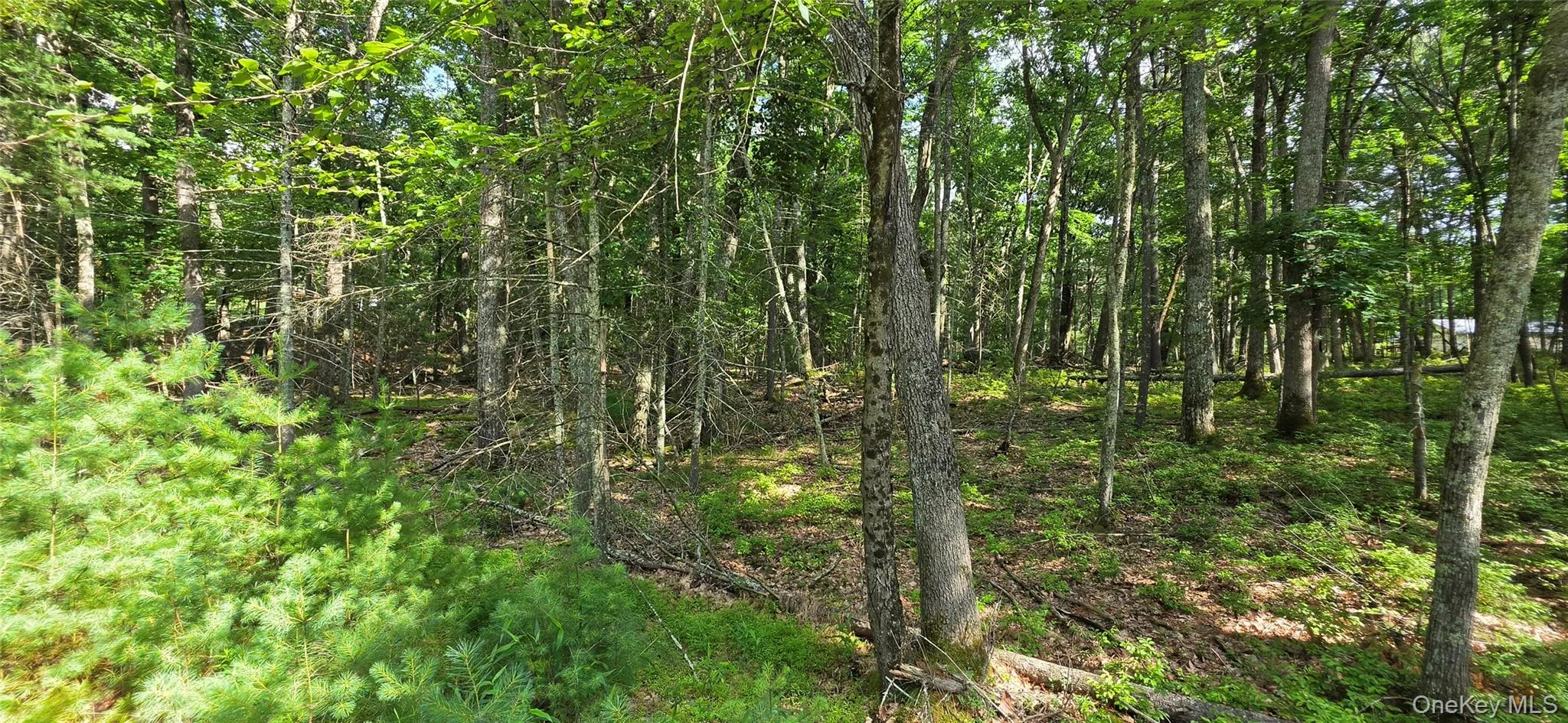 Lot 34.25 Lakeview Drive Road, Highland, NY, ,Land,For Rent,Lakeview Drive,0,1024572 Lot 34.25 Lakeview Drive Road, Highland, NY, ,Land,For Rent,Lakeview Drive,0,1024572
