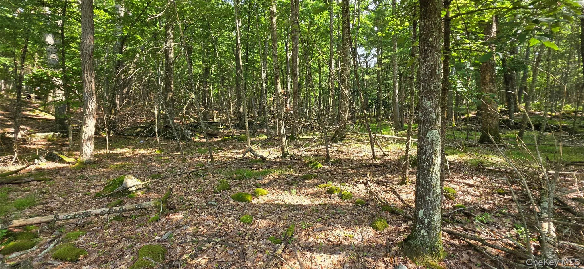 Lot 34.25 Lakeview Drive Road, Highland, NY, ,Land,For Rent,Lakeview Drive,0,1024572 Lot 34.25 Lakeview Drive Road, Highland, NY, ,Land,For Rent,Lakeview Drive,0,1024572