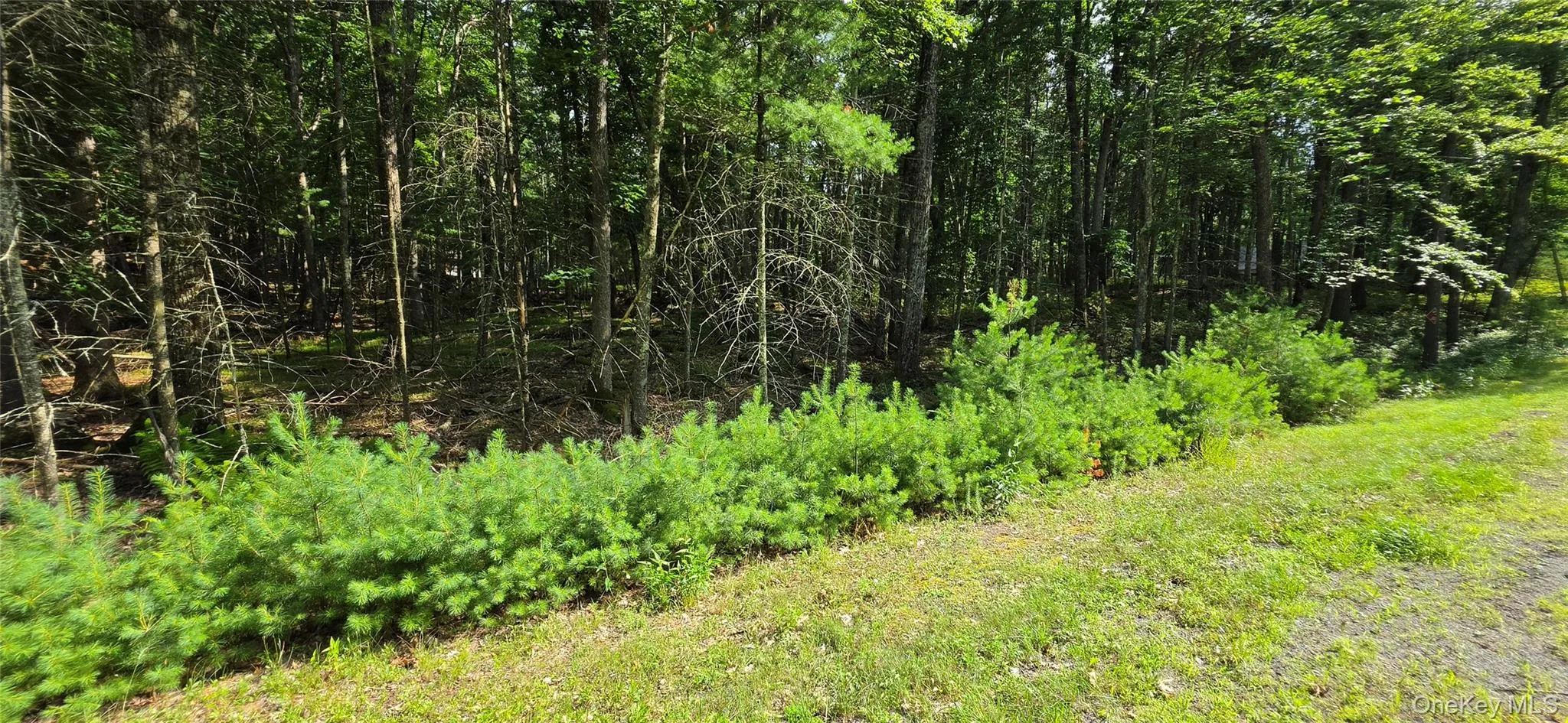 Lot 34.25 Lakeview Drive Road, Highland, NY, ,Land,For Rent,Lakeview Drive,0,1024572 Lot 34.25 Lakeview Drive Road, Highland, NY, ,Land,For Rent,Lakeview Drive,0,1024572