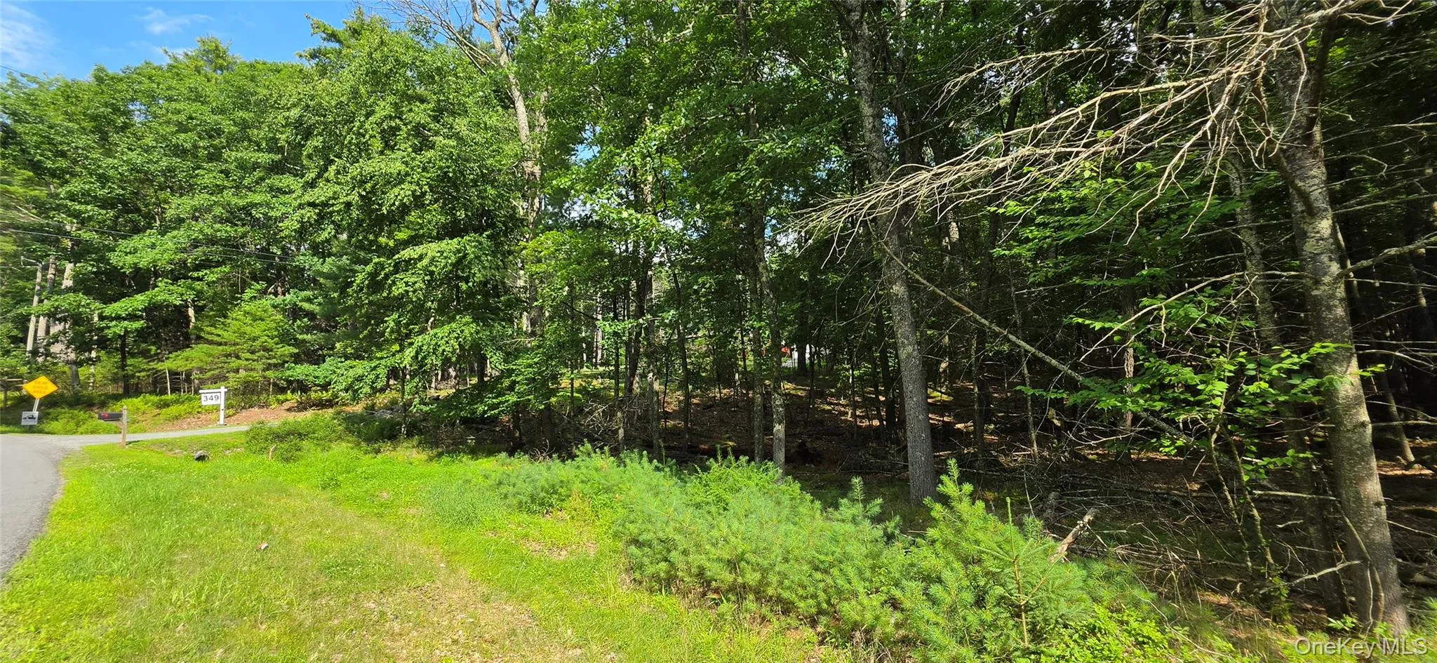 Lot 34.25 Lakeview Drive Road, Highland, NY, ,Land,For Rent,Lakeview Drive,0,1024572 Lot 34.25 Lakeview Drive Road, Highland, NY, ,Land,For Rent,Lakeview Drive,0,1024572