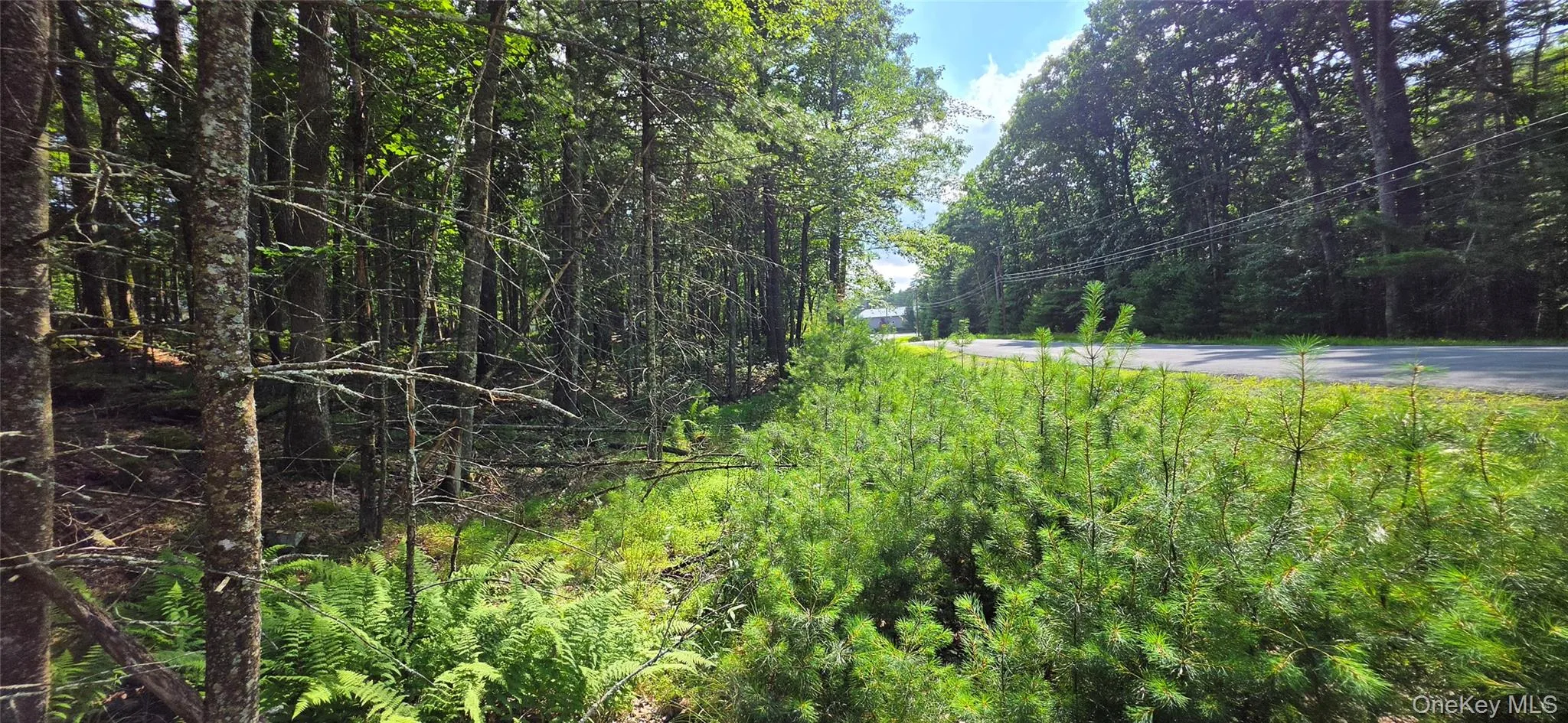 Lot 34.25 Lakeview Drive Road, Highland, NY, ,Land,For Rent,Lakeview Drive,0,1024572 Lot 34.25 Lakeview Drive Road, Highland, NY, ,Land,For Rent,Lakeview Drive,0,1024572