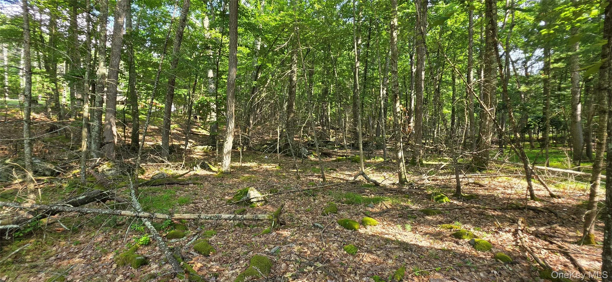 Lot 34.25 Lakeview Drive Road, Highland, NY, ,Land,For Rent,Lakeview Drive,0,1024572 Lot 34.25 Lakeview Drive Road, Highland, NY, ,Land,For Rent,Lakeview Drive,0,1024572