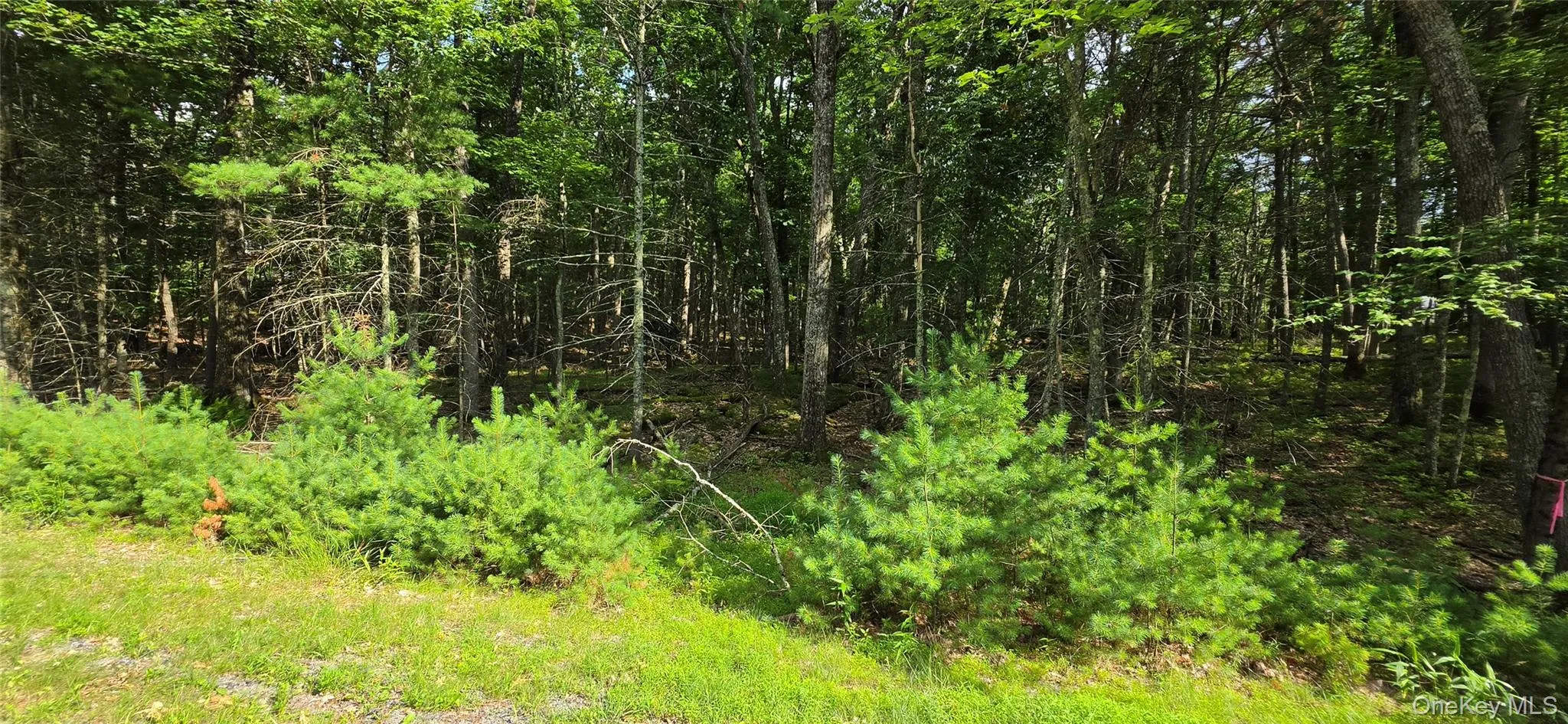 Lot 34.25 Lakeview Drive Road, Highland, NY, ,Land,For Rent,Lakeview Drive,0,1024572 Lot 34.25 Lakeview Drive Road, Highland, NY, ,Land,For Rent,Lakeview Drive,0,1024572