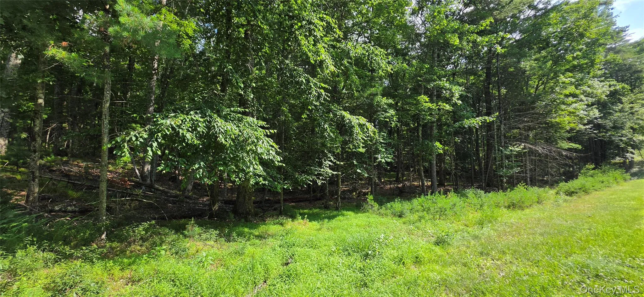 Lot 34.25 Lakeview Drive Road, Highland, NY, ,Land,For Rent,Lakeview Drive,0,1024572 Lot 34.25 Lakeview Drive Road, Highland, NY, ,Land,For Rent,Lakeview Drive,0,1024572