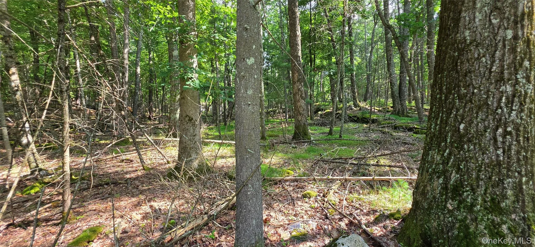 Lot 34.25 Lakeview Drive Road, Highland, NY, ,Land,For Rent,Lakeview Drive,0,1024572 Lot 34.25 Lakeview Drive Road, Highland, NY, ,Land,For Rent,Lakeview Drive,0,1024572