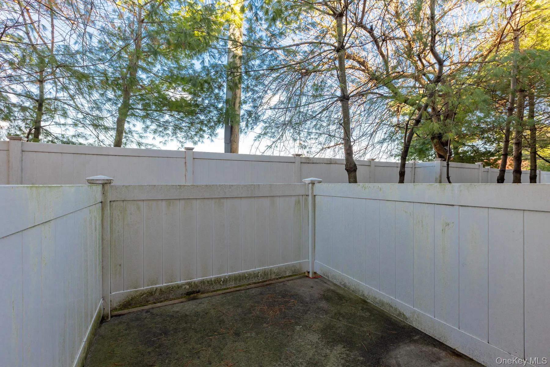11 Jacqueline Way, Babylon, NY, 2 Bedrooms Bedrooms, 7 Rooms Rooms,2 BathroomsBathrooms,Residential Lease,For Rent,Jacqueline,0,1024587 11 Jacqueline Way, Babylon, NY, 2 Bedrooms Bedrooms, 7 Rooms Rooms,2 BathroomsBathrooms,Residential Lease,For Rent,Jacqueline,0,1024587