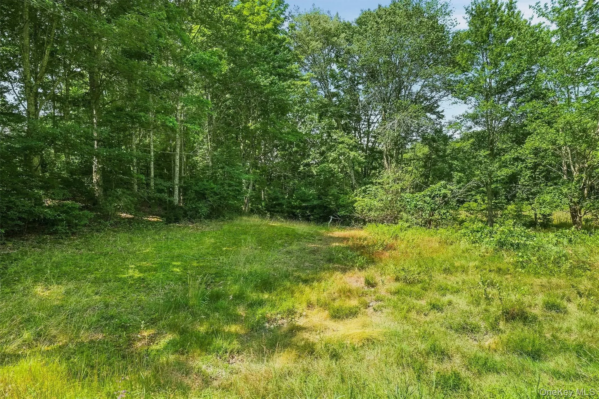 148 Quannacut Road, Shawangunk, NY, 6 Bedrooms Bedrooms, 13 Rooms Rooms,2 BathroomsBathrooms,Residential,For Rent,Quannacut,0,1024611 148 Quannacut Road, Shawangunk, NY, 6 Bedrooms Bedrooms, 13 Rooms Rooms,2 BathroomsBathrooms,Residential,For Rent,Quannacut,0,1024611
