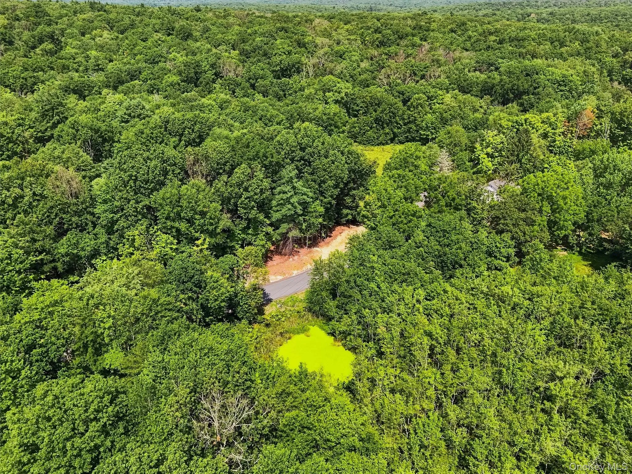 There is a pond teeming with wildlife that you can observe as you walk down the road, with your property on both sides of you! There is a pond teeming with wildlife that you can observe as you walk down the road, with your property on both sides of you!