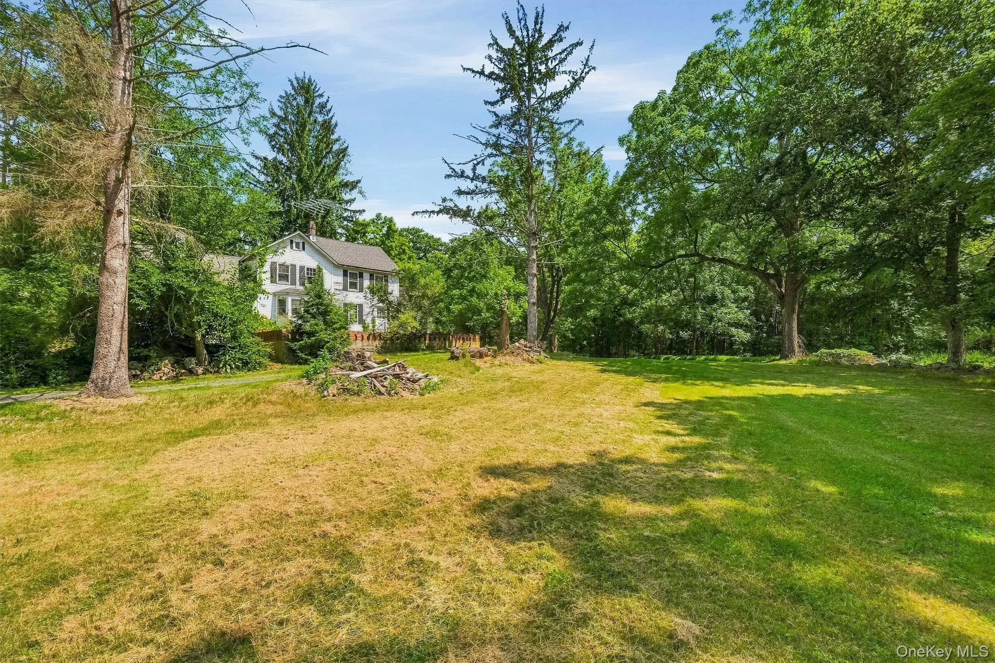Expansive front yard Expansive front yard