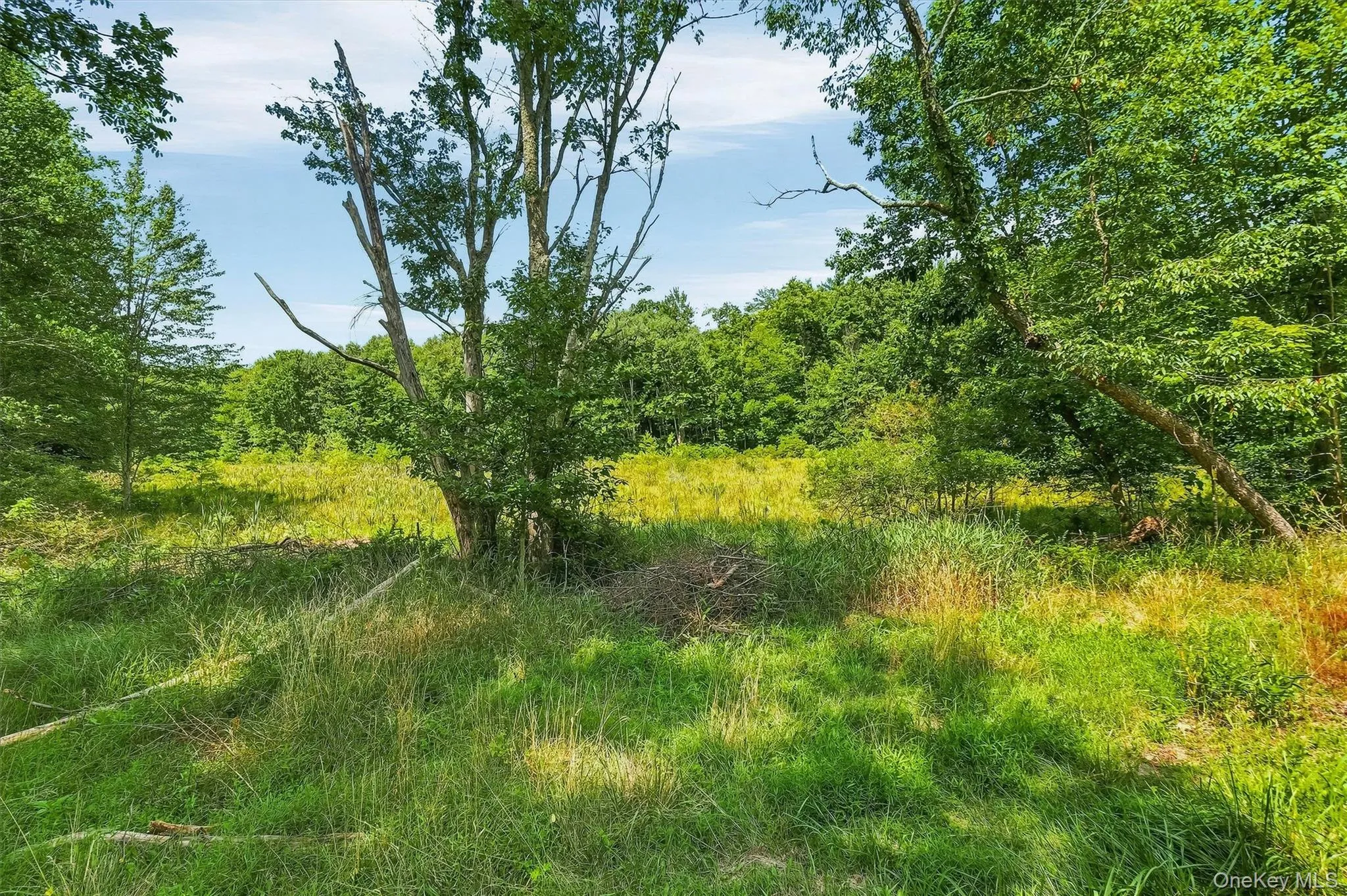 148 Quannacut Road, Shawangunk, NY, 6 Bedrooms Bedrooms, 13 Rooms Rooms,2 BathroomsBathrooms,Residential,For Rent,Quannacut,0,1024611 148 Quannacut Road, Shawangunk, NY, 6 Bedrooms Bedrooms, 13 Rooms Rooms,2 BathroomsBathrooms,Residential,For Rent,Quannacut,0,1024611