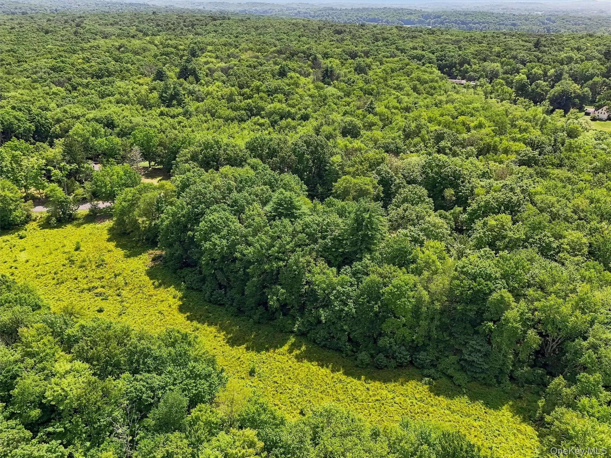 148 Quannacut Road, Shawangunk, NY, 6 Bedrooms Bedrooms, 13 Rooms Rooms,2 BathroomsBathrooms,Residential,For Rent,Quannacut,0,1024611 148 Quannacut Road, Shawangunk, NY, 6 Bedrooms Bedrooms, 13 Rooms Rooms,2 BathroomsBathrooms,Residential,For Rent,Quannacut,0,1024611