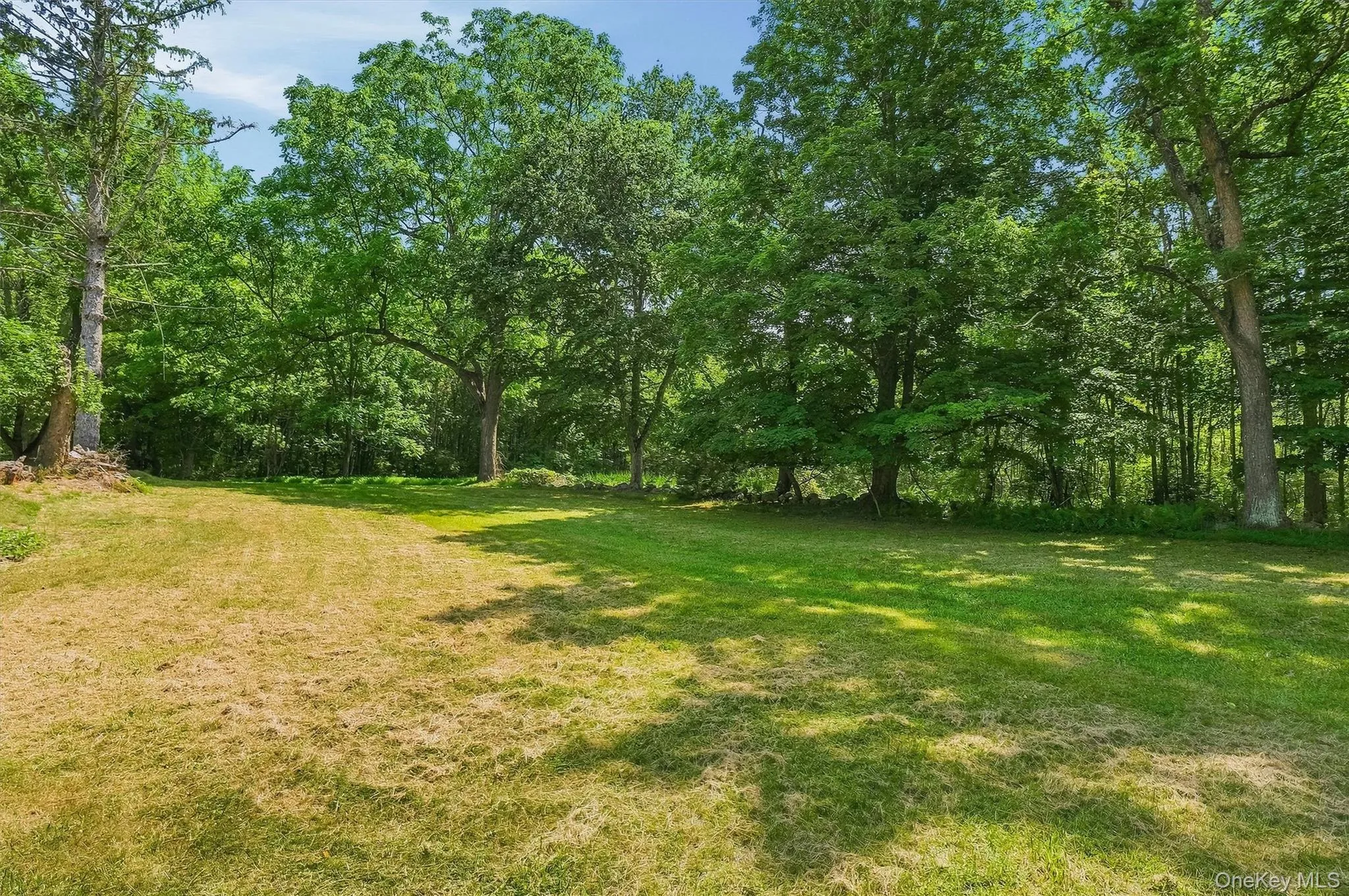 So much space to do outdoor activities like a firepit under the summer stars So much space to do outdoor activities like a firepit under the summer stars