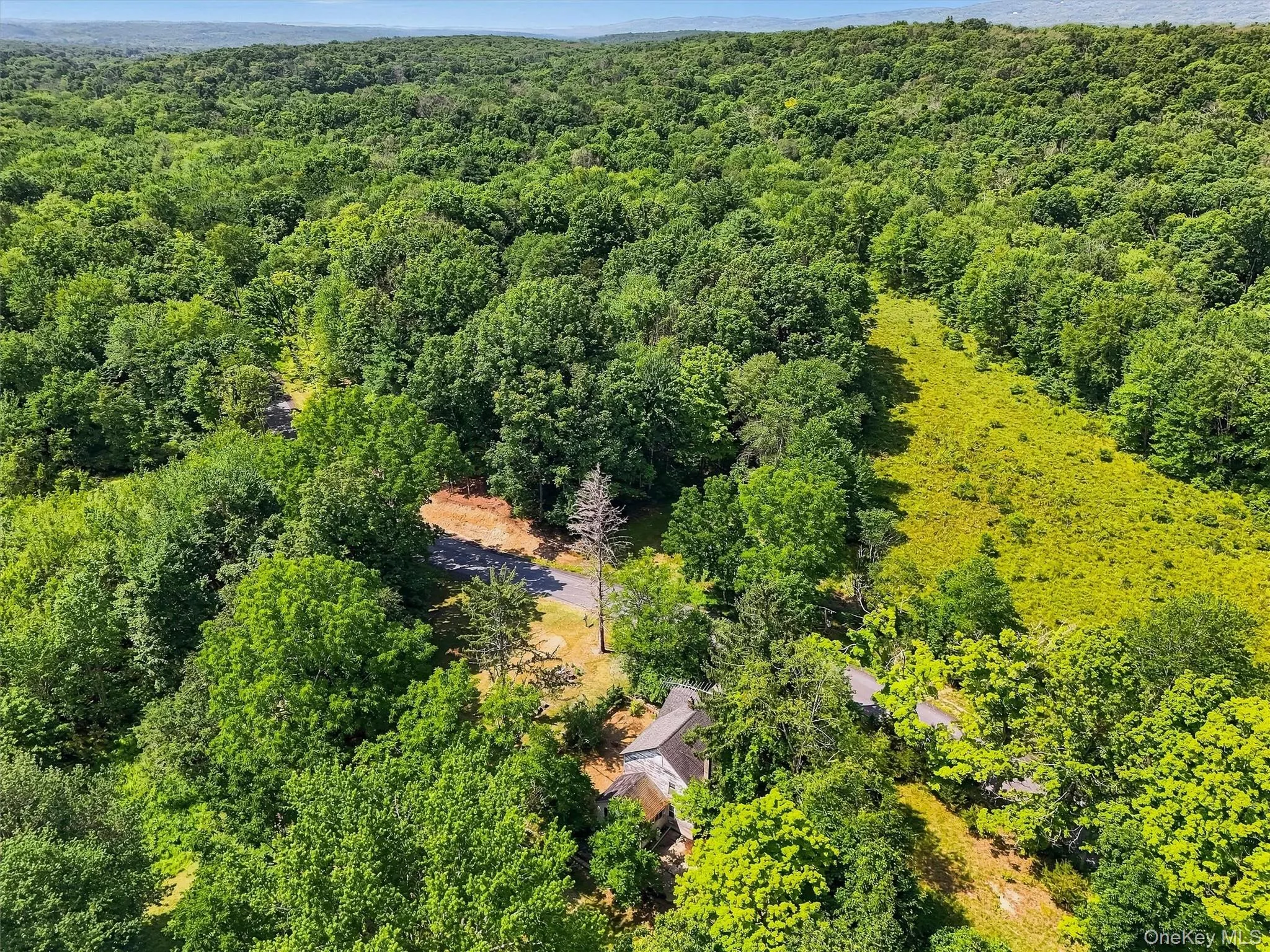 The property is a beautiful forest filled with wildlife and rock walls The property is a beautiful forest filled with wildlife and rock walls