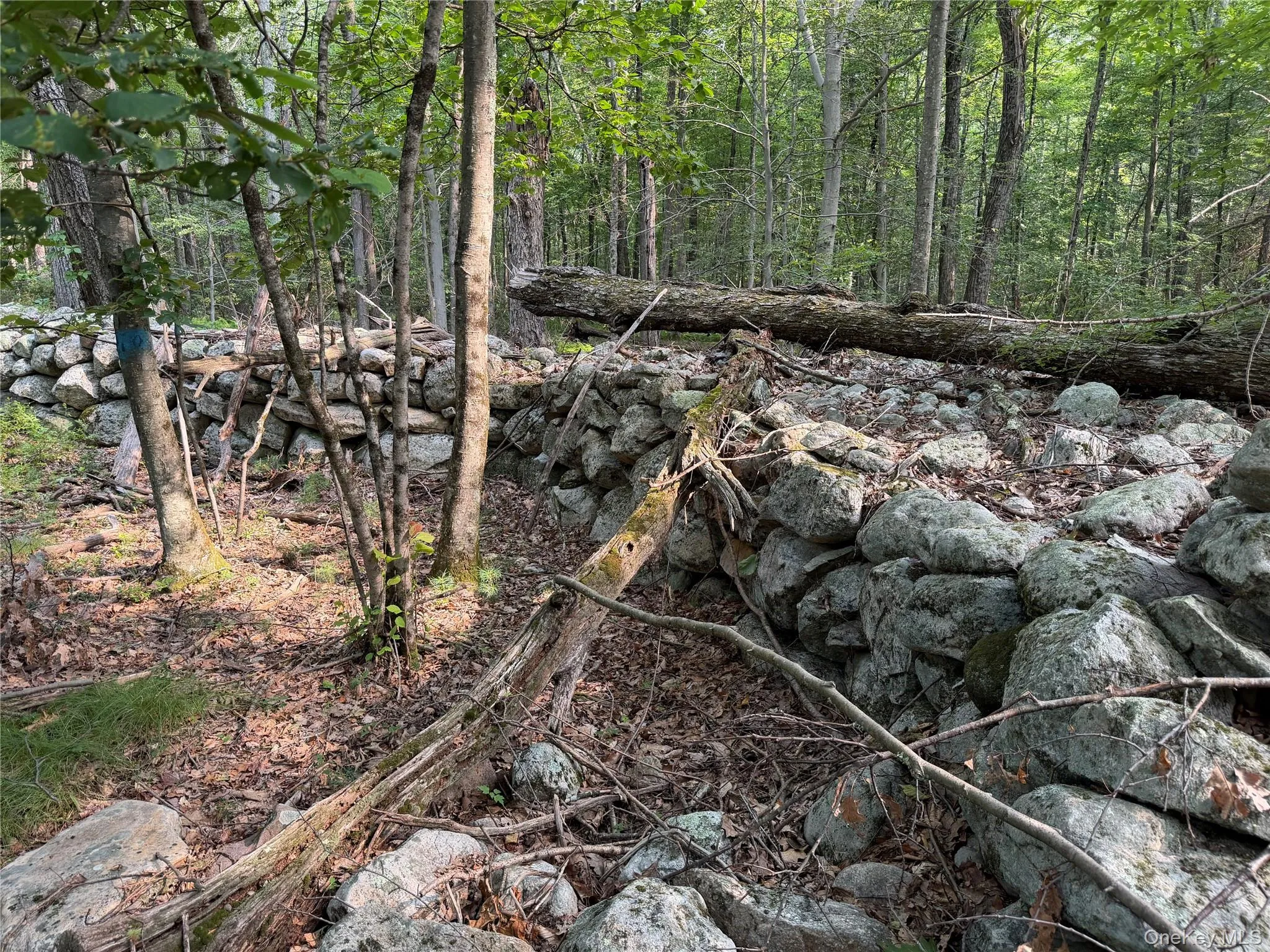 The rock walls throughout the property are very impressive! The rock walls throughout the property are very impressive!