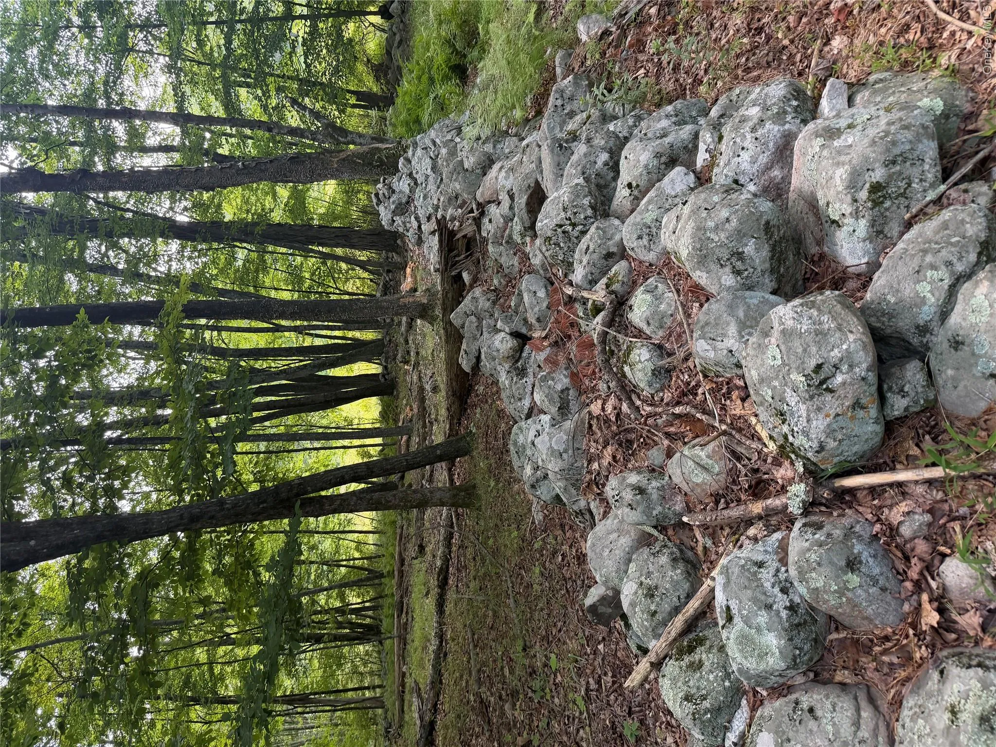 The property has beautiful rock walls throughout The property has beautiful rock walls throughout