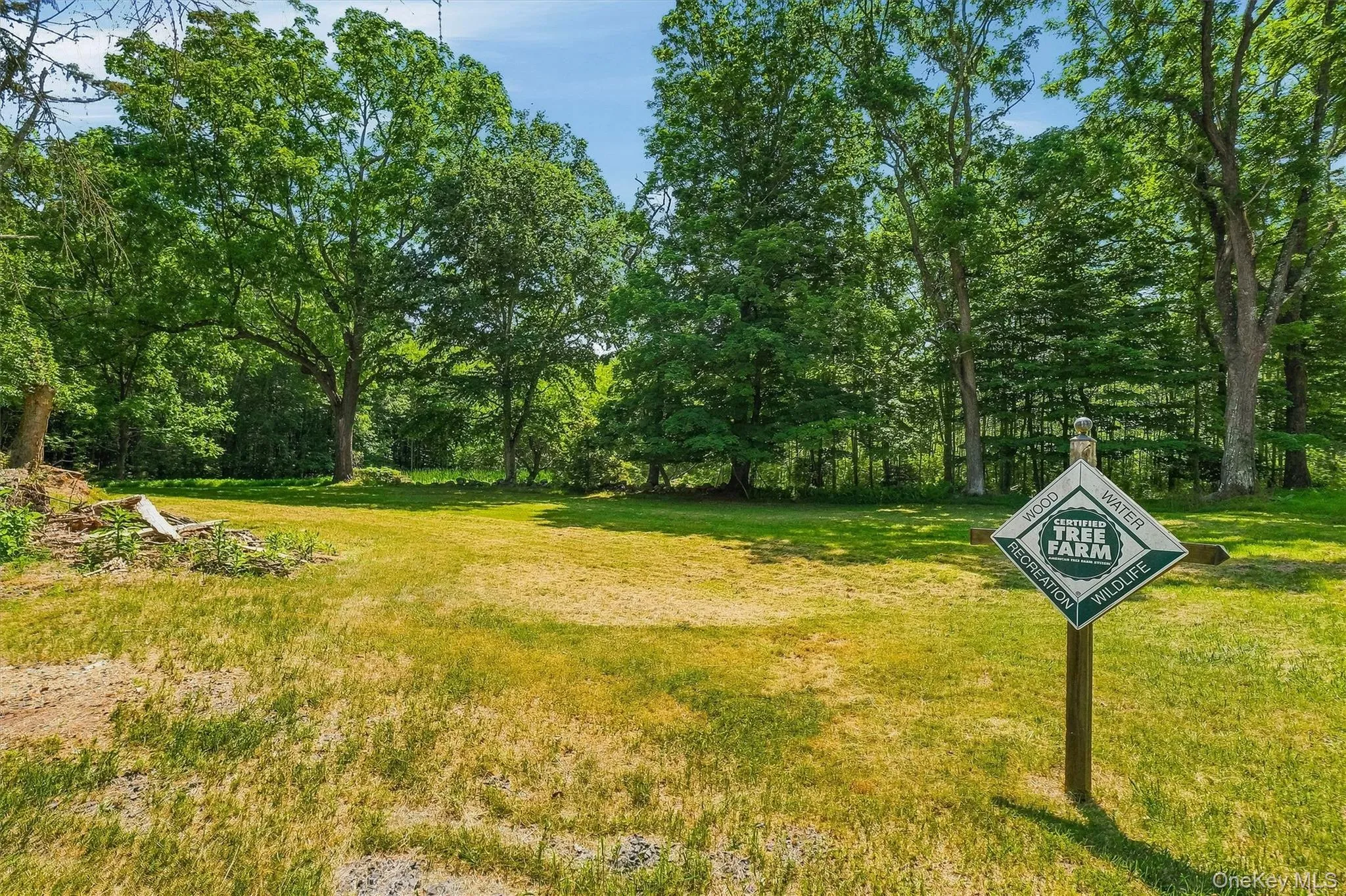 The property is a Certified Tree Farm as part of the American Tree Farm System The property is a Certified Tree Farm as part of the American Tree Farm System