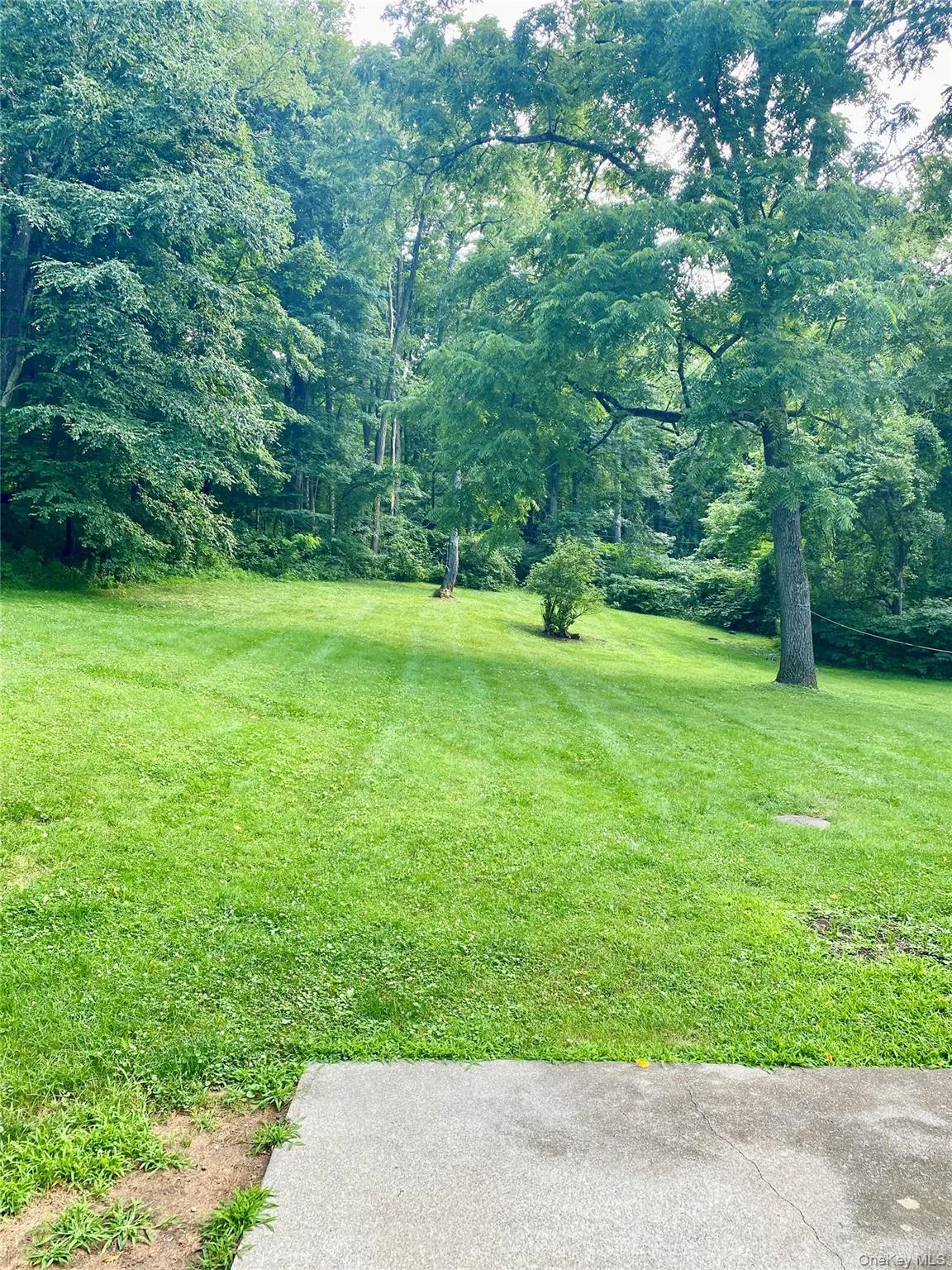 Back yard with cement patio & fence for privacy. 6 plus acres for your use. Back yard with cement patio & fence for privacy. 6 plus acres for your use.