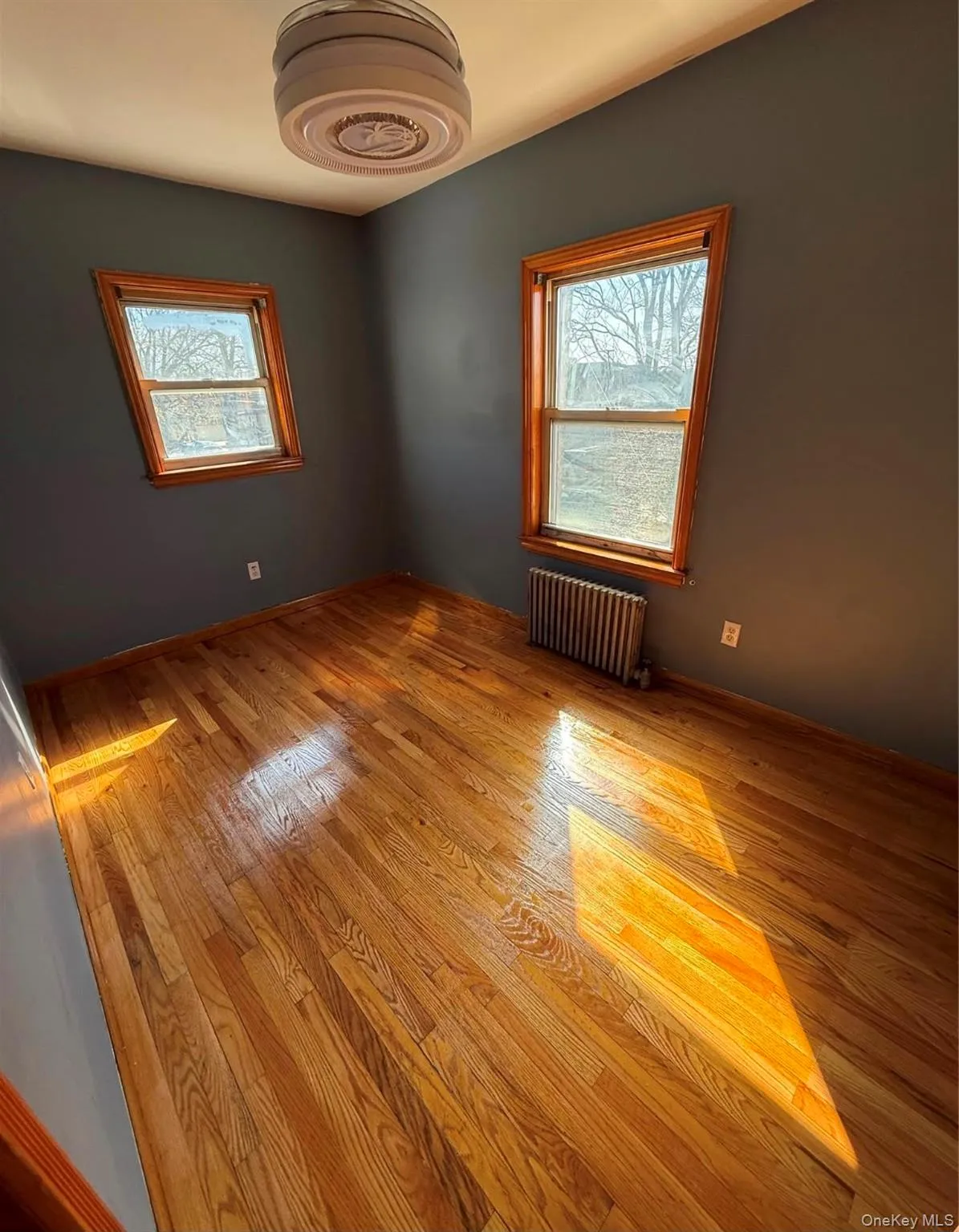 126-02 150th Avenue, New York, NY, 3 Bedrooms Bedrooms, 3 Rooms Rooms,2 BathroomsBathrooms,Residential,For Rent,150th,0,1024623 126-02 150th Avenue, New York, NY, 3 Bedrooms Bedrooms, 3 Rooms Rooms,2 BathroomsBathrooms,Residential,For Rent,150th,0,1024623