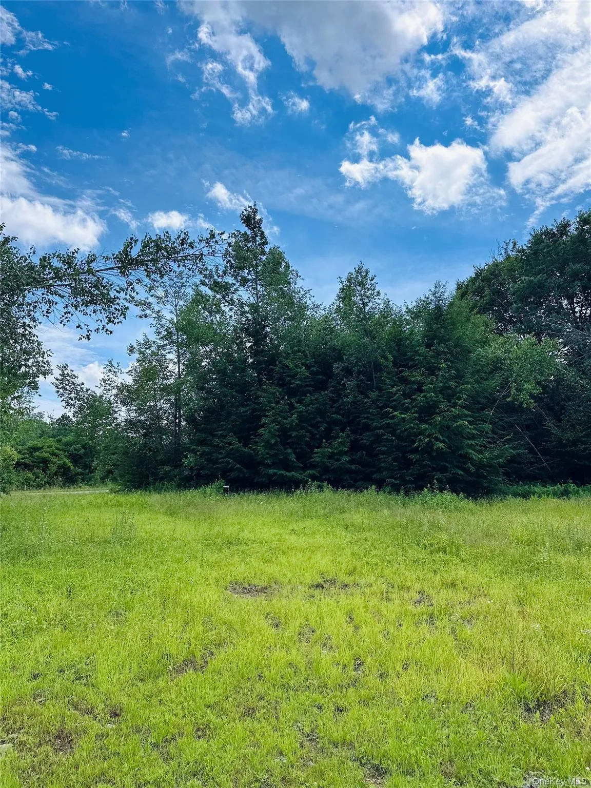 384 Lenape Lake Road, Liberty, NY, 3 Bedrooms Bedrooms, 7 Rooms Rooms,2 BathroomsBathrooms,Residential,For Rent,Lenape Lake,0,1024645 384 Lenape Lake Road, Liberty, NY, 3 Bedrooms Bedrooms, 7 Rooms Rooms,2 BathroomsBathrooms,Residential,For Rent,Lenape Lake,0,1024645