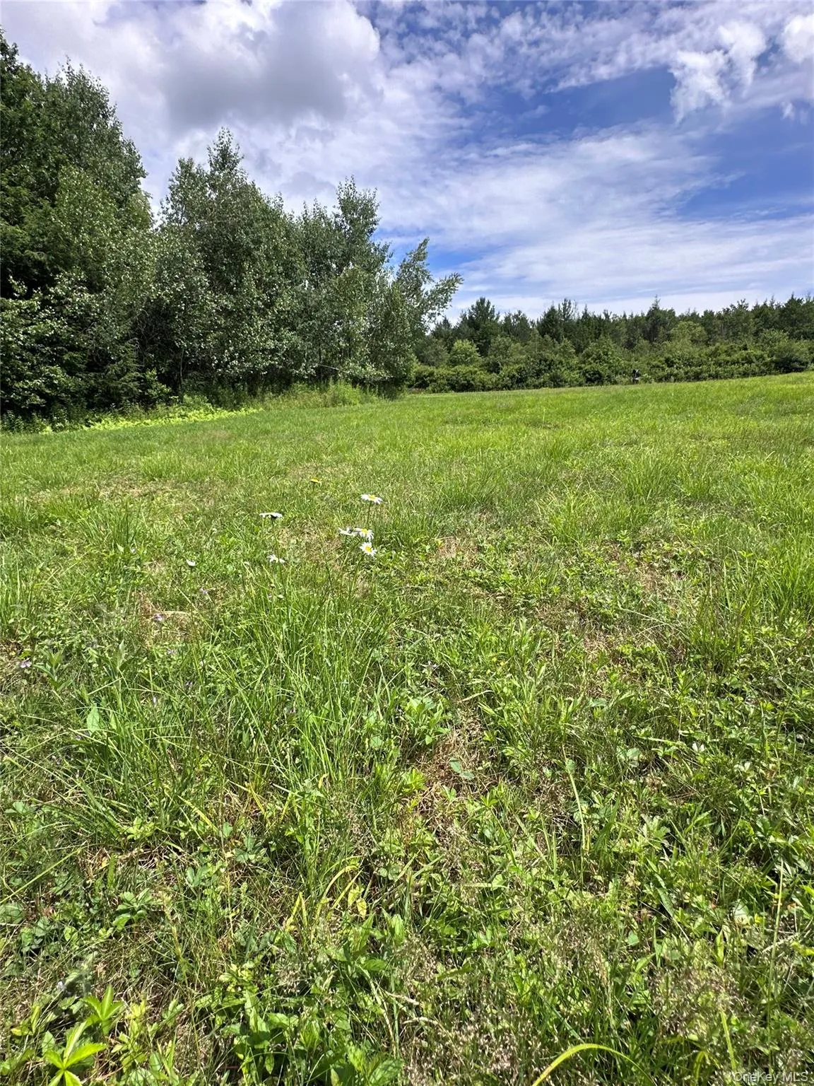 384 Lenape Lake Road, Liberty, NY, 3 Bedrooms Bedrooms, 7 Rooms Rooms,2 BathroomsBathrooms,Residential,For Rent,Lenape Lake,0,1024645 384 Lenape Lake Road, Liberty, NY, 3 Bedrooms Bedrooms, 7 Rooms Rooms,2 BathroomsBathrooms,Residential,For Rent,Lenape Lake,0,1024645
