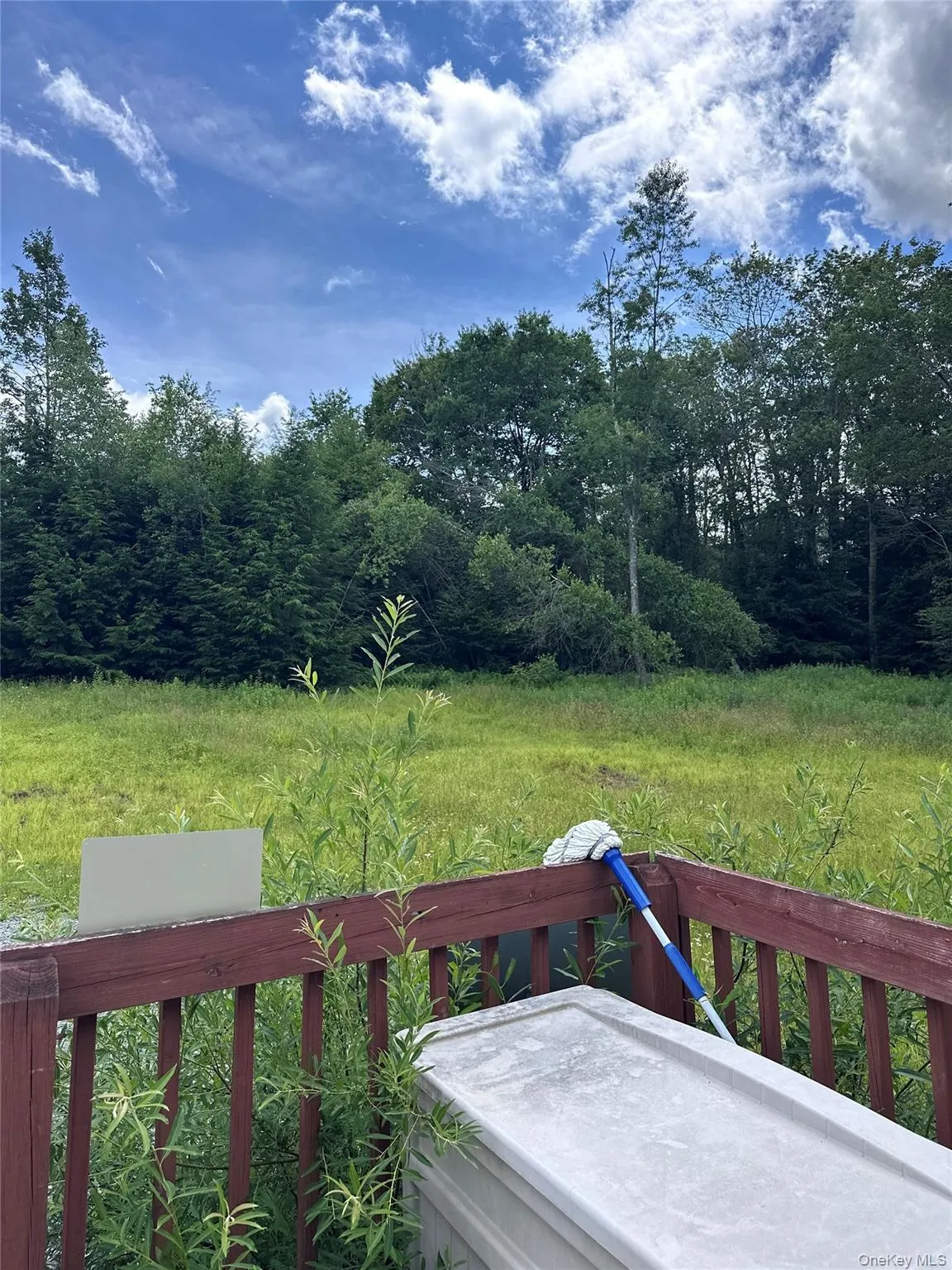 384 Lenape Lake Road, Liberty, NY, 3 Bedrooms Bedrooms, 7 Rooms Rooms,2 BathroomsBathrooms,Residential,For Rent,Lenape Lake,0,1024645 384 Lenape Lake Road, Liberty, NY, 3 Bedrooms Bedrooms, 7 Rooms Rooms,2 BathroomsBathrooms,Residential,For Rent,Lenape Lake,0,1024645