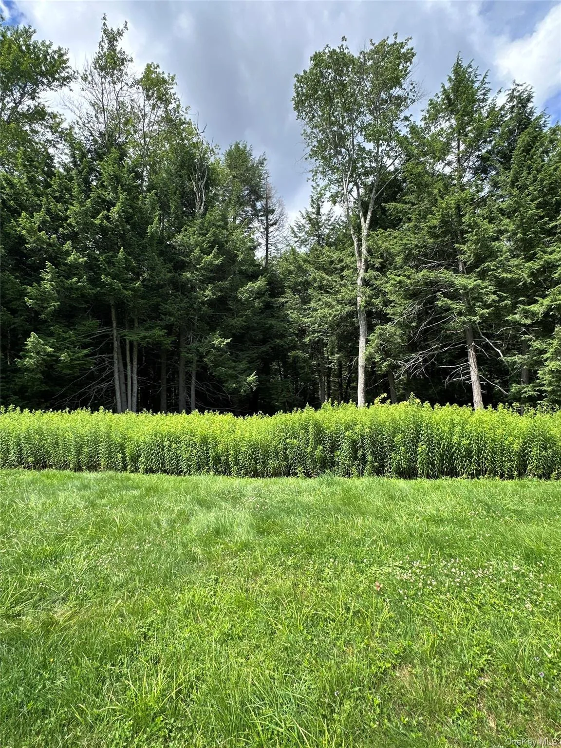 384 Lenape Lake Road, Liberty, NY, 3 Bedrooms Bedrooms, 7 Rooms Rooms,2 BathroomsBathrooms,Residential,For Rent,Lenape Lake,0,1024645 384 Lenape Lake Road, Liberty, NY, 3 Bedrooms Bedrooms, 7 Rooms Rooms,2 BathroomsBathrooms,Residential,For Rent,Lenape Lake,0,1024645