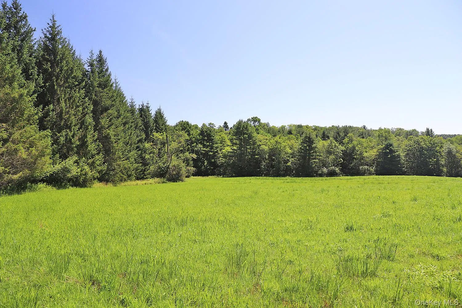 Lot 4B Hurd Road, Bethel, NY, ,Land,For Rent,Hurd,0,1024661 Lot 4B Hurd Road, Bethel, NY, ,Land,For Rent,Hurd,0,1024661