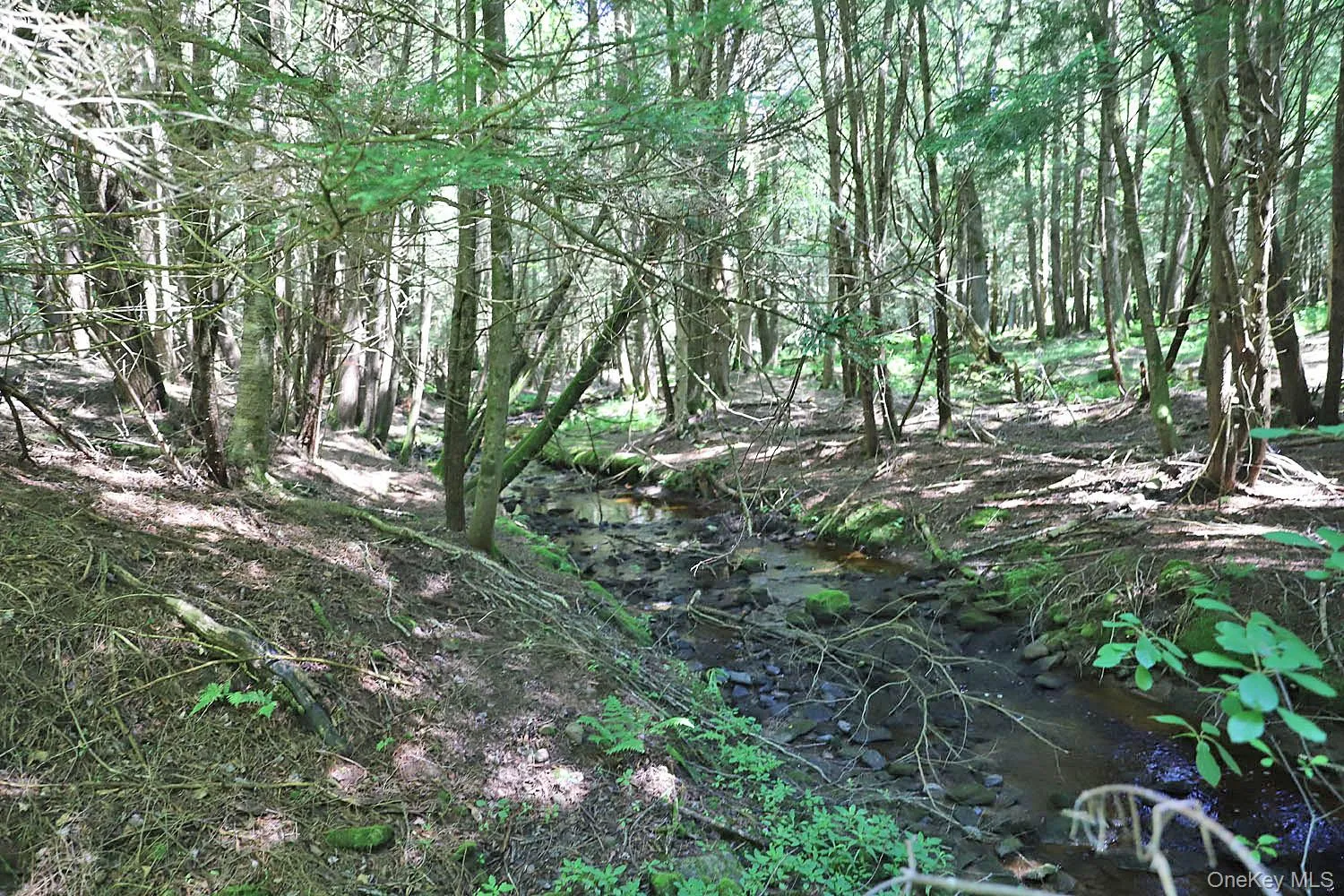 Lot 4B Hurd Road, Bethel, NY, ,Land,For Rent,Hurd,0,1024661 Lot 4B Hurd Road, Bethel, NY, ,Land,For Rent,Hurd,0,1024661