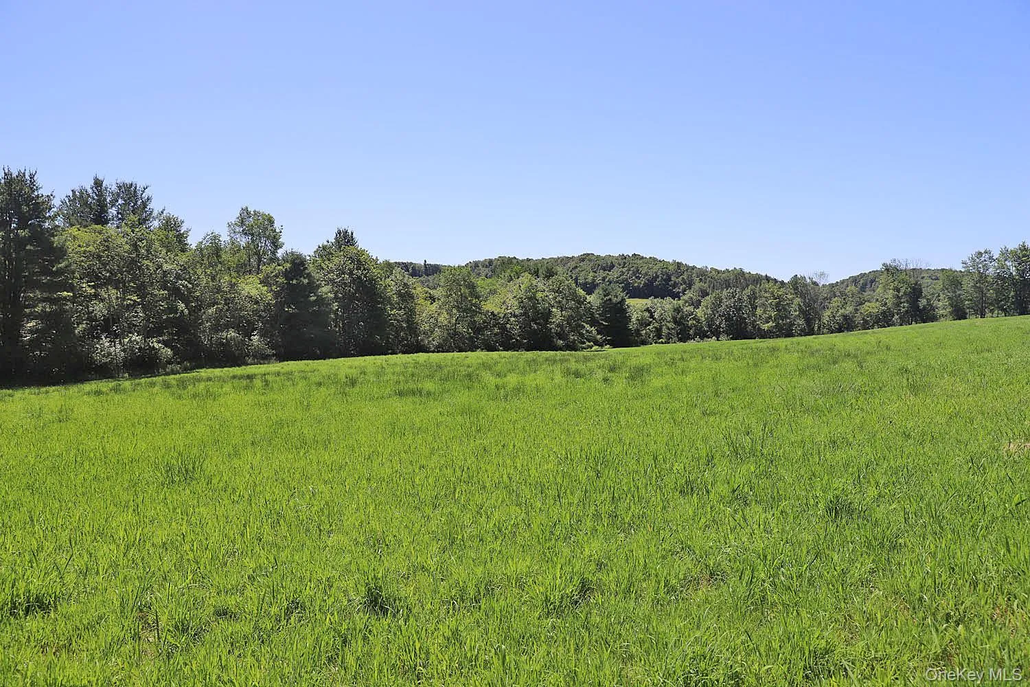 Lot 4B Hurd Road, Bethel, NY, ,Land,For Rent,Hurd,0,1024661 Lot 4B Hurd Road, Bethel, NY, ,Land,For Rent,Hurd,0,1024661