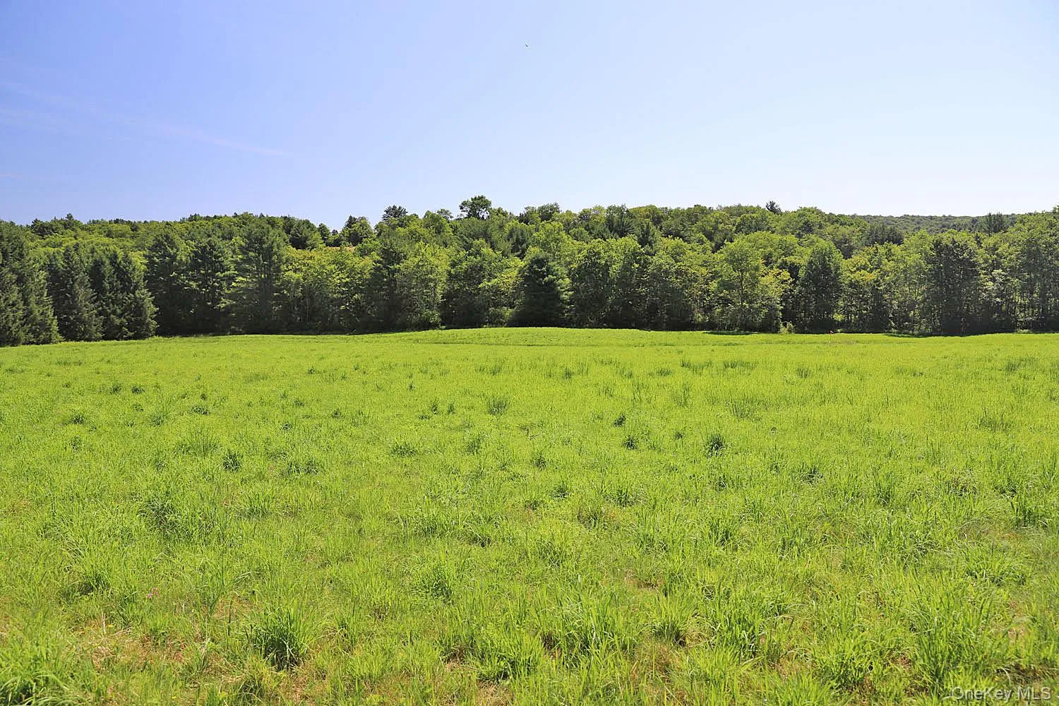 Lot 4B Hurd Road, Bethel, NY, ,Land,For Rent,Hurd,0,1024661 Lot 4B Hurd Road, Bethel, NY, ,Land,For Rent,Hurd,0,1024661