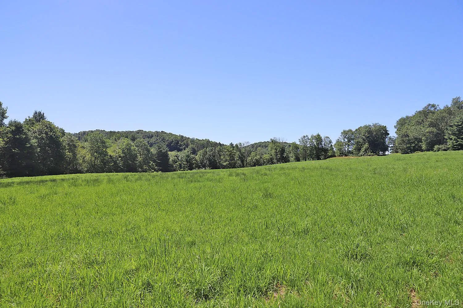 Lot 4B Hurd Road, Bethel, NY, ,Land,For Rent,Hurd,0,1024661 Lot 4B Hurd Road, Bethel, NY, ,Land,For Rent,Hurd,0,1024661