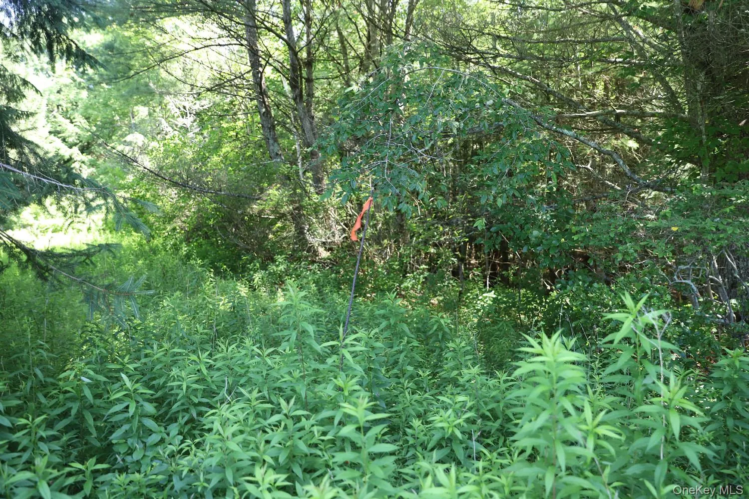 Lot 4B Hurd Road, Bethel, NY, ,Land,For Rent,Hurd,0,1024661 Lot 4B Hurd Road, Bethel, NY, ,Land,For Rent,Hurd,0,1024661