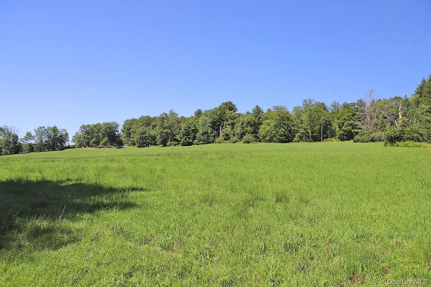 Lot 4B Hurd Road, Bethel, NY, ,Land,For Rent,Hurd,0,1024661 Lot 4B Hurd Road, Bethel, NY, ,Land,For Rent,Hurd,0,1024661
