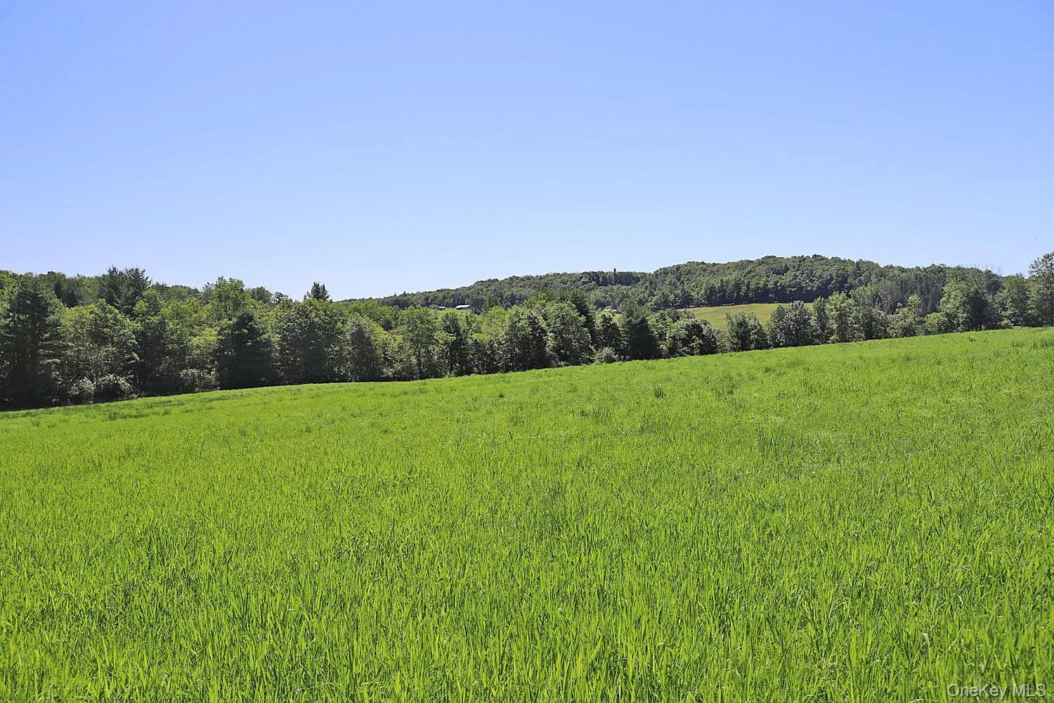 Lot 4B Hurd Road, Bethel, NY, ,Land,For Rent,Hurd,0,1024661 Lot 4B Hurd Road, Bethel, NY, ,Land,For Rent,Hurd,0,1024661