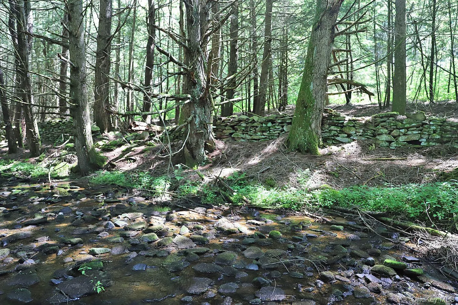 Lot 4B Hurd Road, Bethel, NY, ,Land,For Rent,Hurd,0,1024661 Lot 4B Hurd Road, Bethel, NY, ,Land,For Rent,Hurd,0,1024661