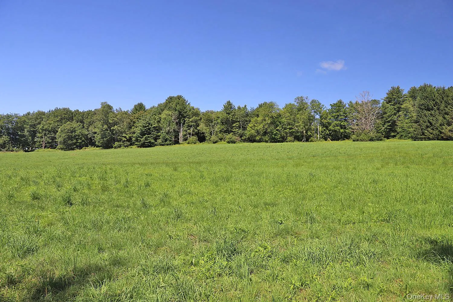 Lot 4B Hurd Road, Bethel, NY, ,Land,For Rent,Hurd,0,1024661 Lot 4B Hurd Road, Bethel, NY, ,Land,For Rent,Hurd,0,1024661