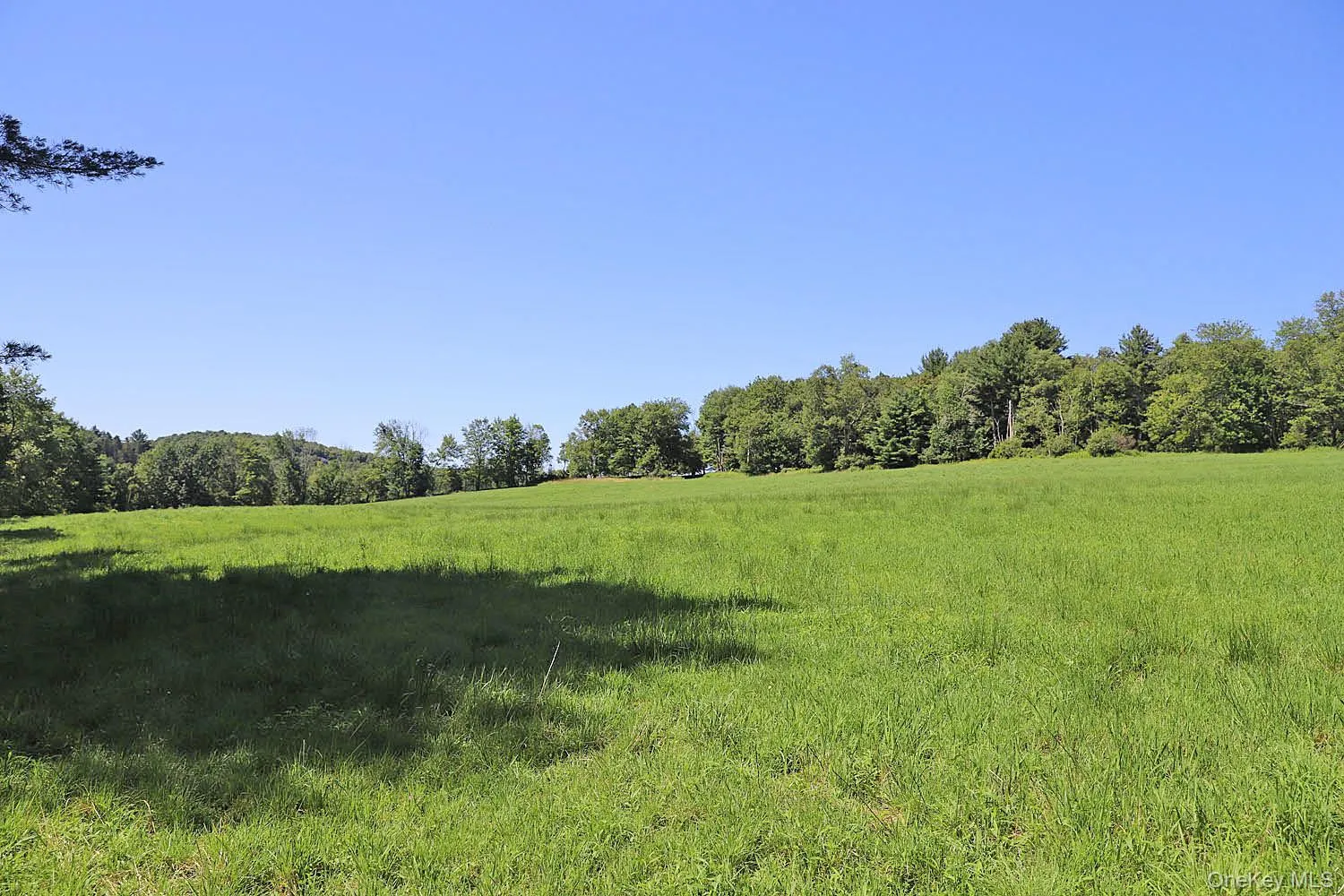 Lot 4B Hurd Road, Bethel, NY, ,Land,For Rent,Hurd,0,1024661 Lot 4B Hurd Road, Bethel, NY, ,Land,For Rent,Hurd,0,1024661
