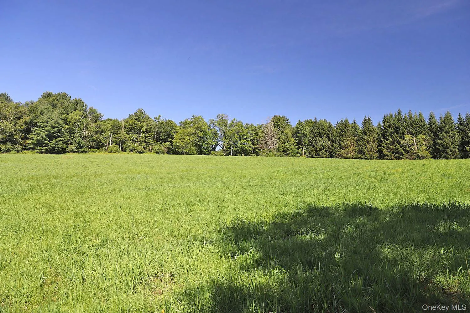 Lot 4B Hurd Road, Bethel, NY, ,Land,For Rent,Hurd,0,1024661 Lot 4B Hurd Road, Bethel, NY, ,Land,For Rent,Hurd,0,1024661