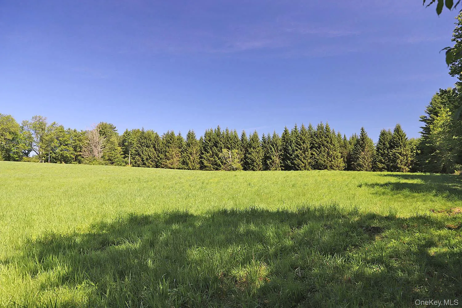 Lot 4B Hurd Road, Bethel, NY, ,Land,For Rent,Hurd,0,1024661 Lot 4B Hurd Road, Bethel, NY, ,Land,For Rent,Hurd,0,1024661