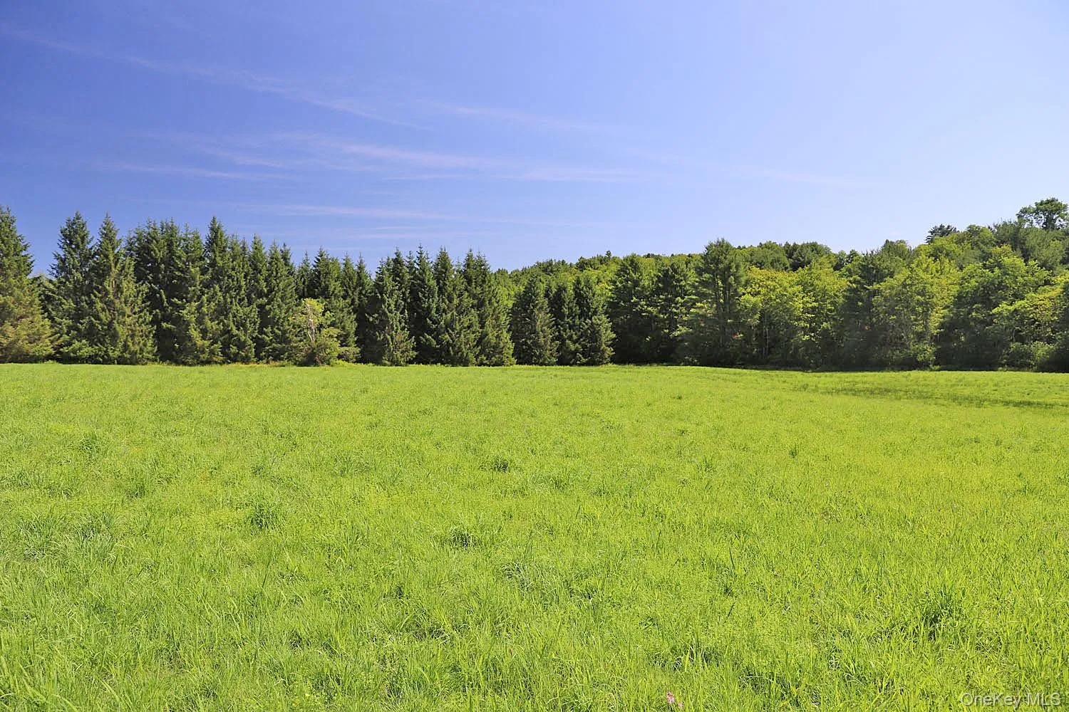 Lot 4B Hurd Road, Bethel, NY, ,Land,For Rent,Hurd,0,1024661 Lot 4B Hurd Road, Bethel, NY, ,Land,For Rent,Hurd,0,1024661