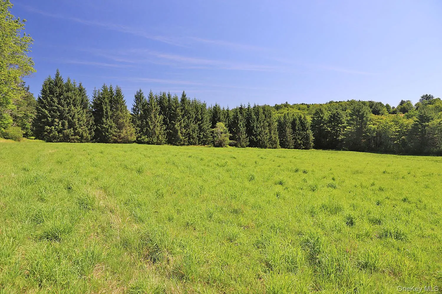 Lot 4B Hurd Road, Bethel, NY, ,Land,For Rent,Hurd,0,1024661 Lot 4B Hurd Road, Bethel, NY, ,Land,For Rent,Hurd,0,1024661