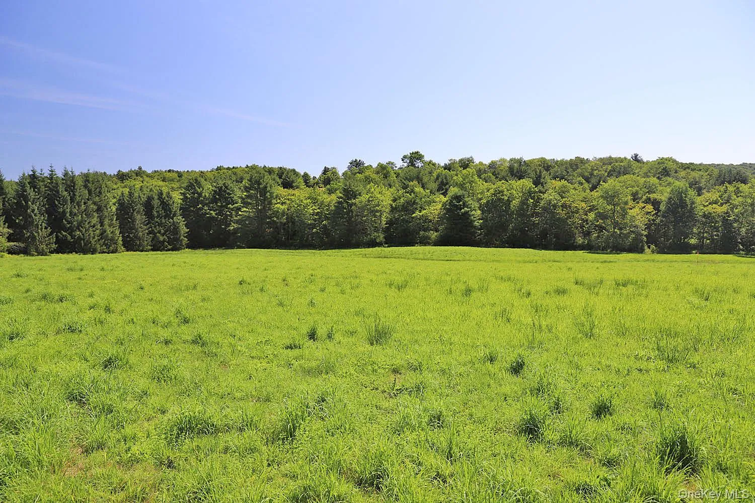 Lot 4B Hurd Road, Bethel, NY, ,Land,For Rent,Hurd,0,1024661 Lot 4B Hurd Road, Bethel, NY, ,Land,For Rent,Hurd,0,1024661