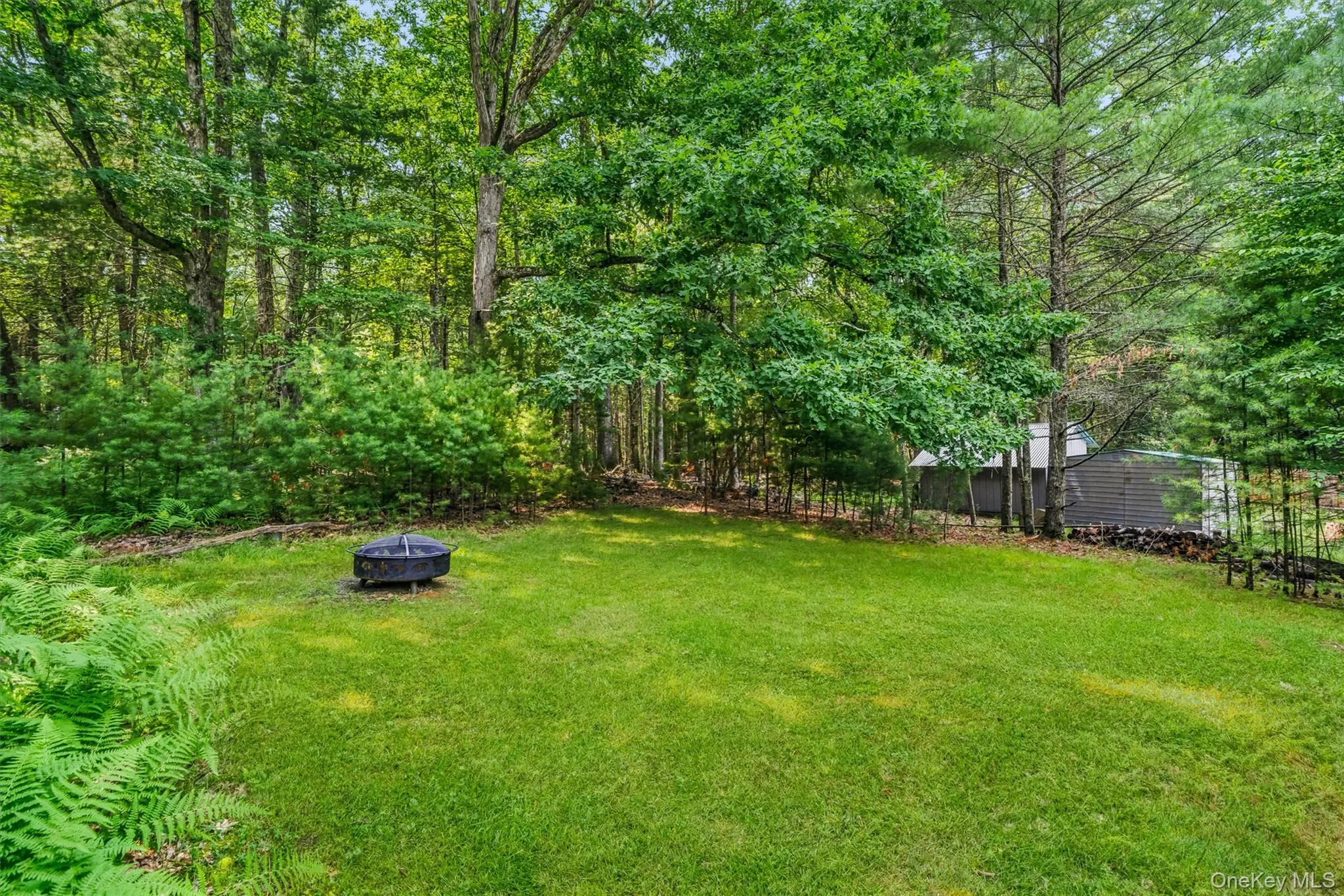 Back yard with firepit Back yard with firepit